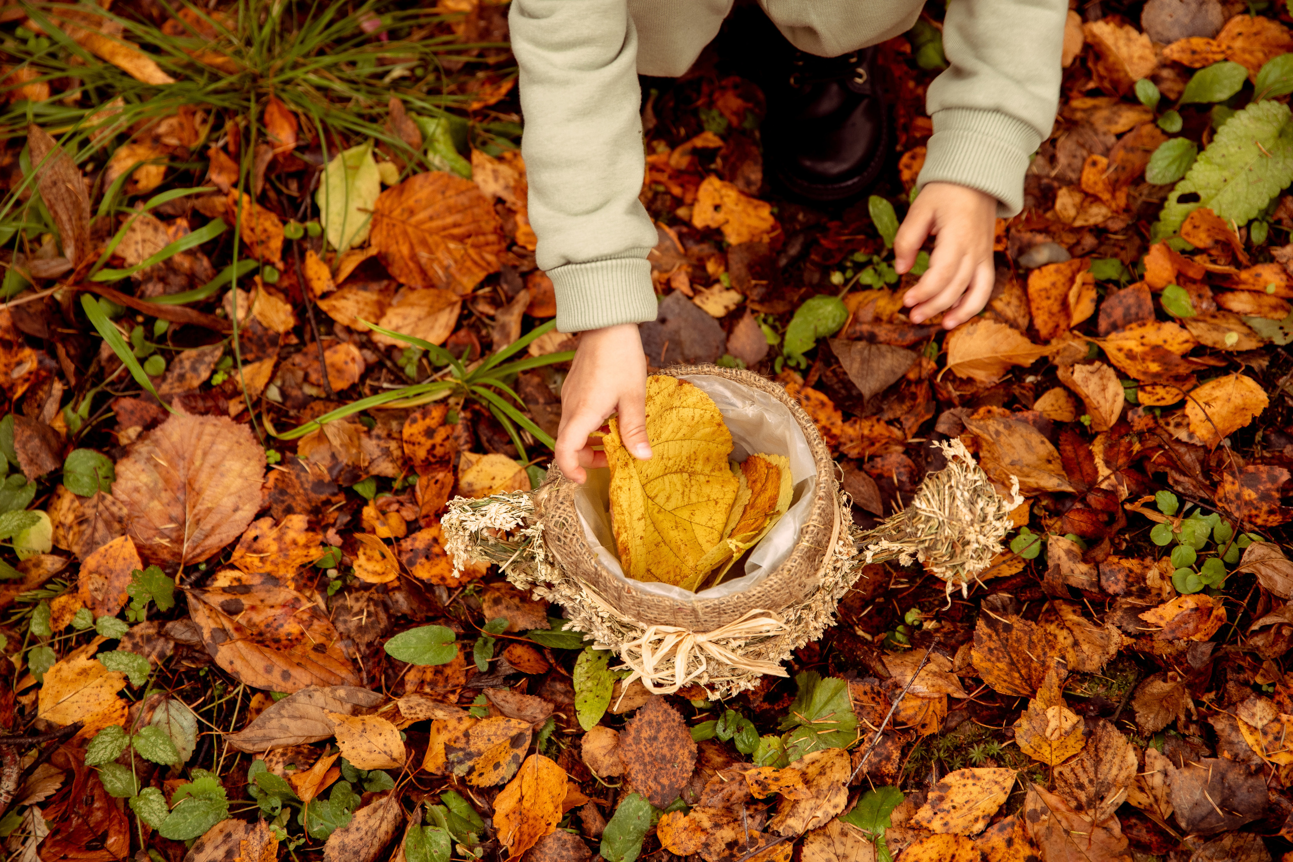 ОСЕНЬ. Дарья Бухреева — фотограф, видеограф и фототерапевт. Москва и мир
