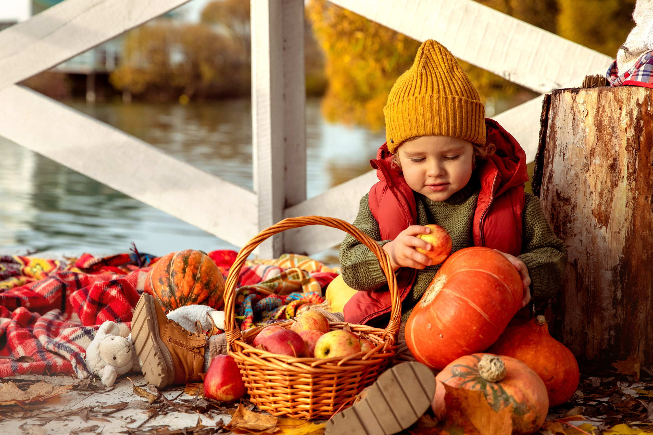 ОСЕНЬ. Дарья Бухреева — фотограф, видеограф и фототерапевт. Москва и мир