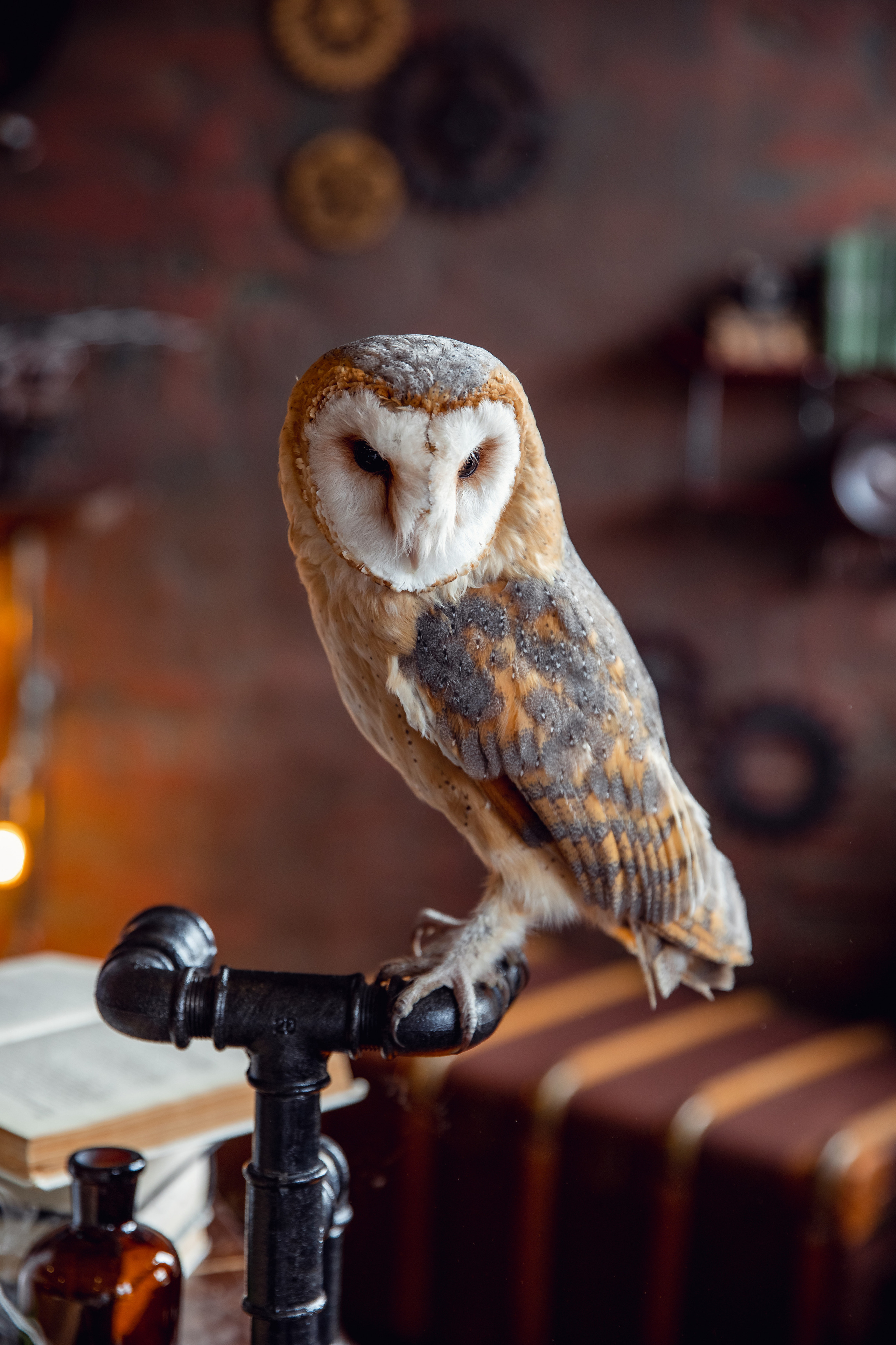 Экспериментариум. Дарья Бухреева — фотограф, видеограф и фототерапевт. Москва и мир