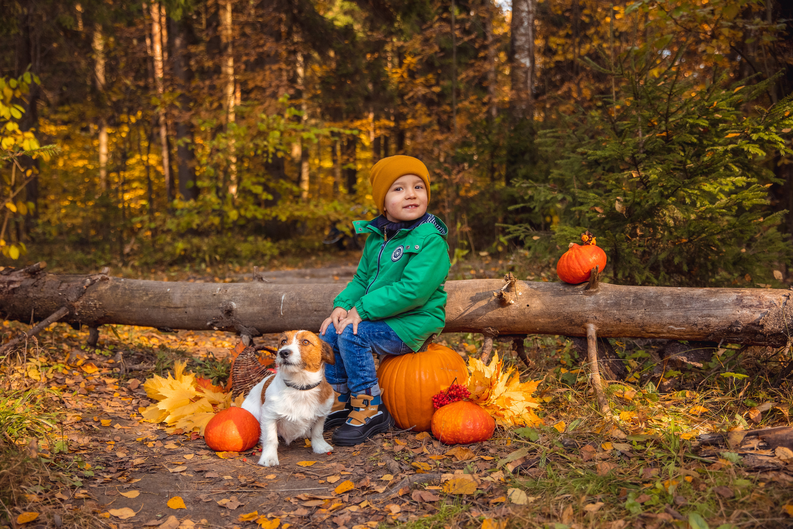 ОСЕНЬ. Дарья Бухреева — фотограф, видеограф и фототерапевт. Москва и мир