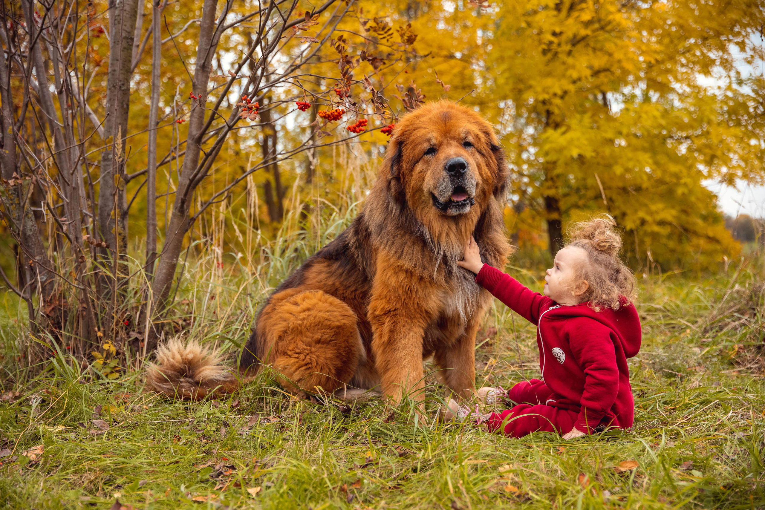 ОСЕНЬ. Дарья Бухреева — фотограф, видеограф и фототерапевт. Москва и мир