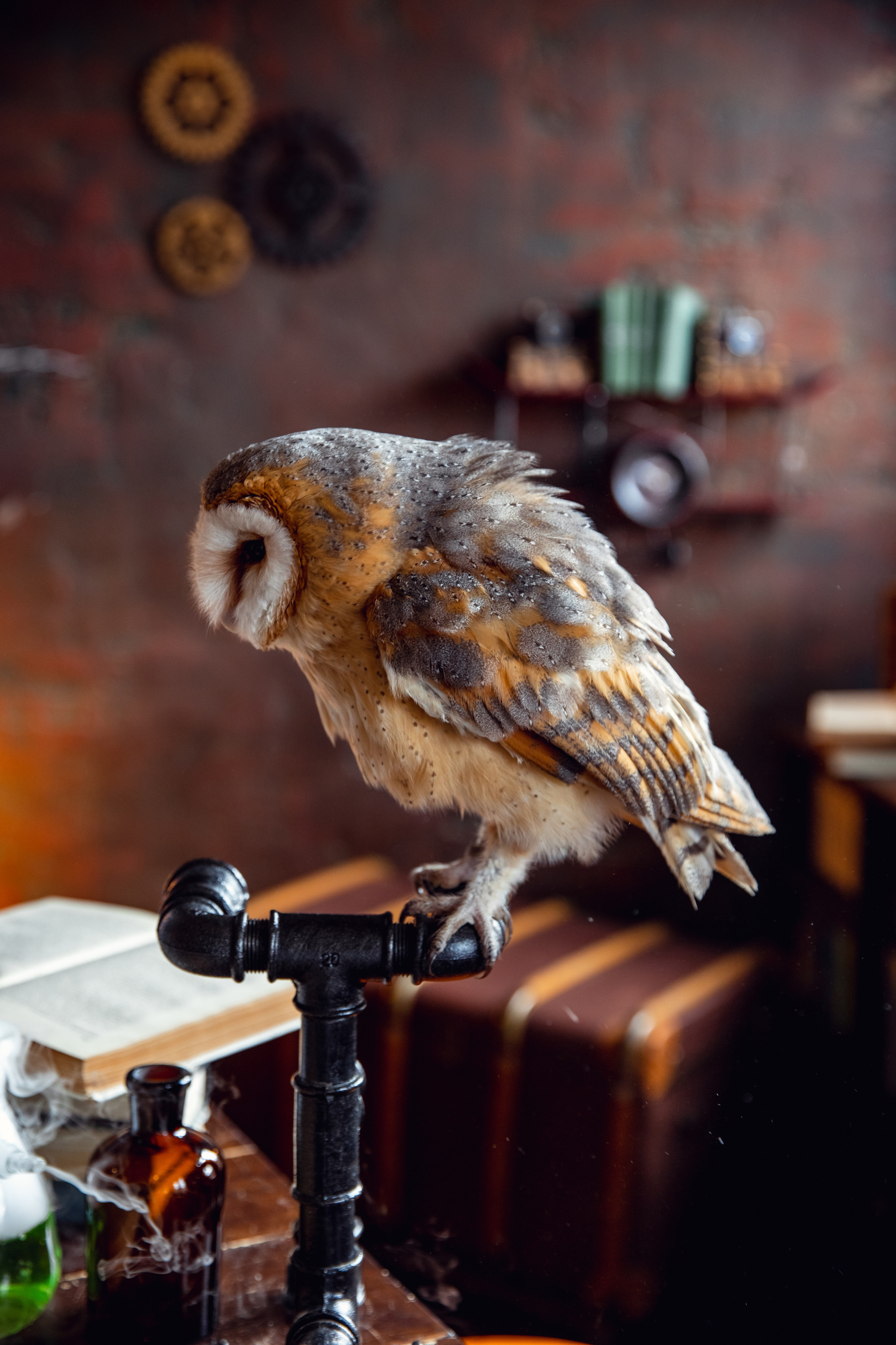 Экспериментариум. Дарья Бухреева — фотограф, видеограф и фототерапевт. Москва и мир