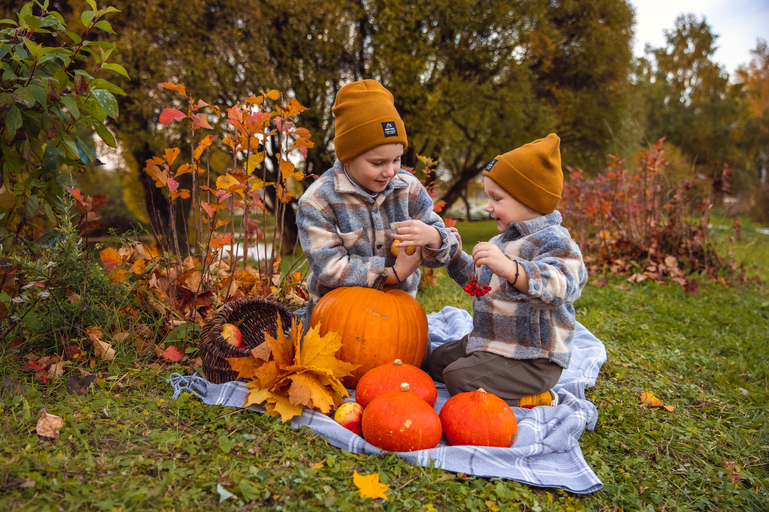 ОСЕНЬ. Дарья Бухреева — фотограф, видеограф и фототерапевт. Москва и мир