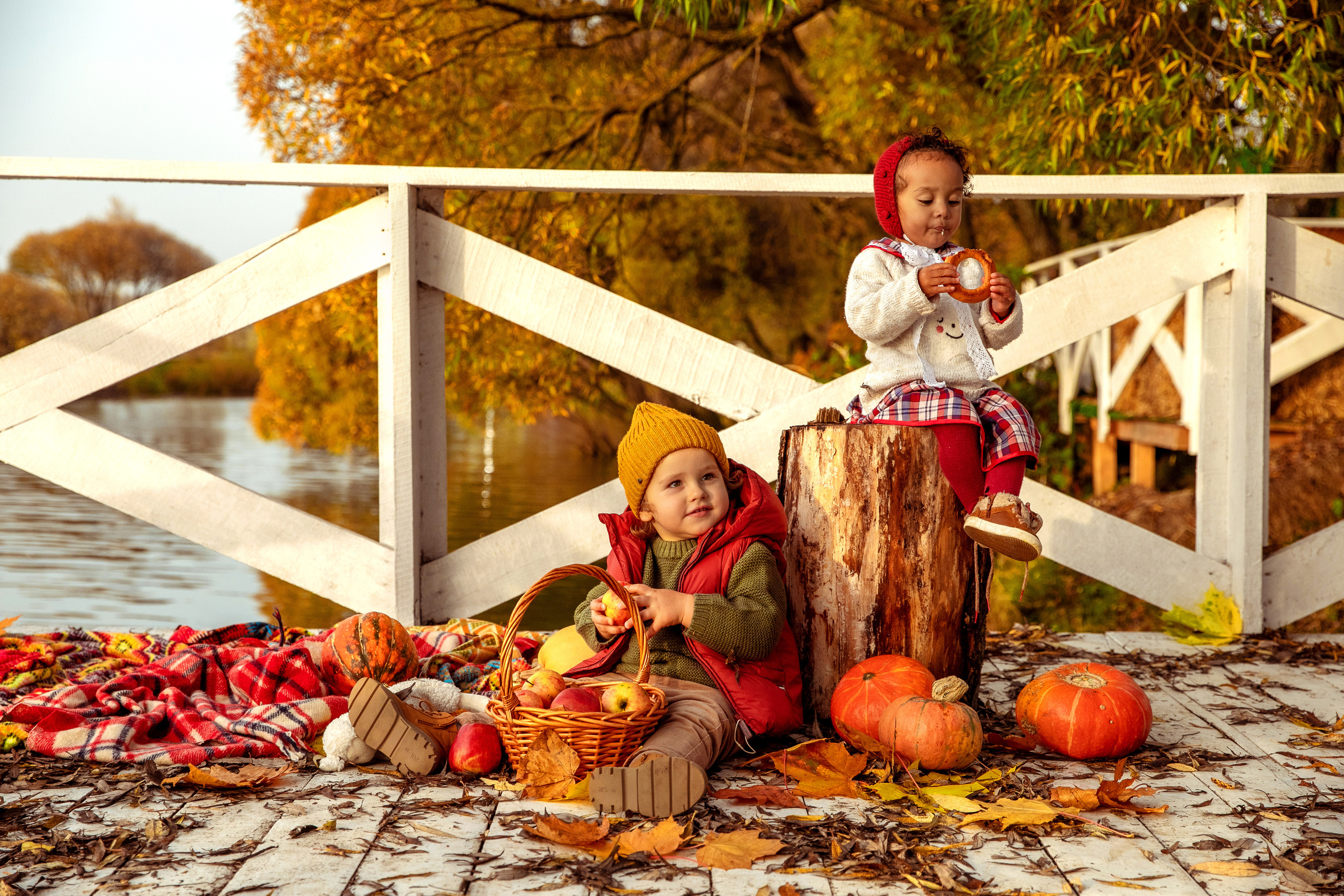 ОСЕНЬ. Дарья Бухреева — фотограф, видеограф и фототерапевт. Москва и мир