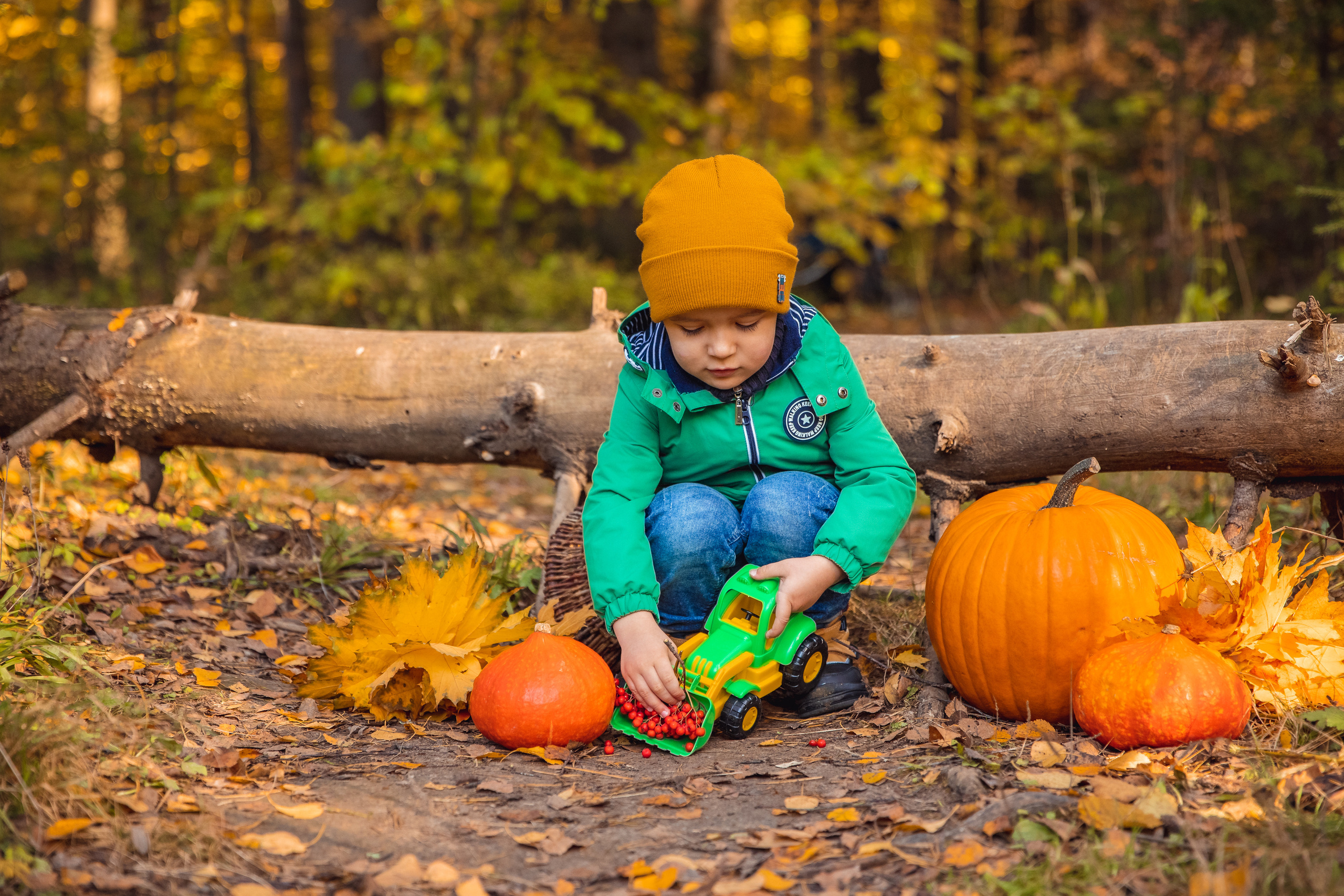 ОСЕНЬ. Дарья Бухреева — фотограф, видеограф и фототерапевт. Москва и мир