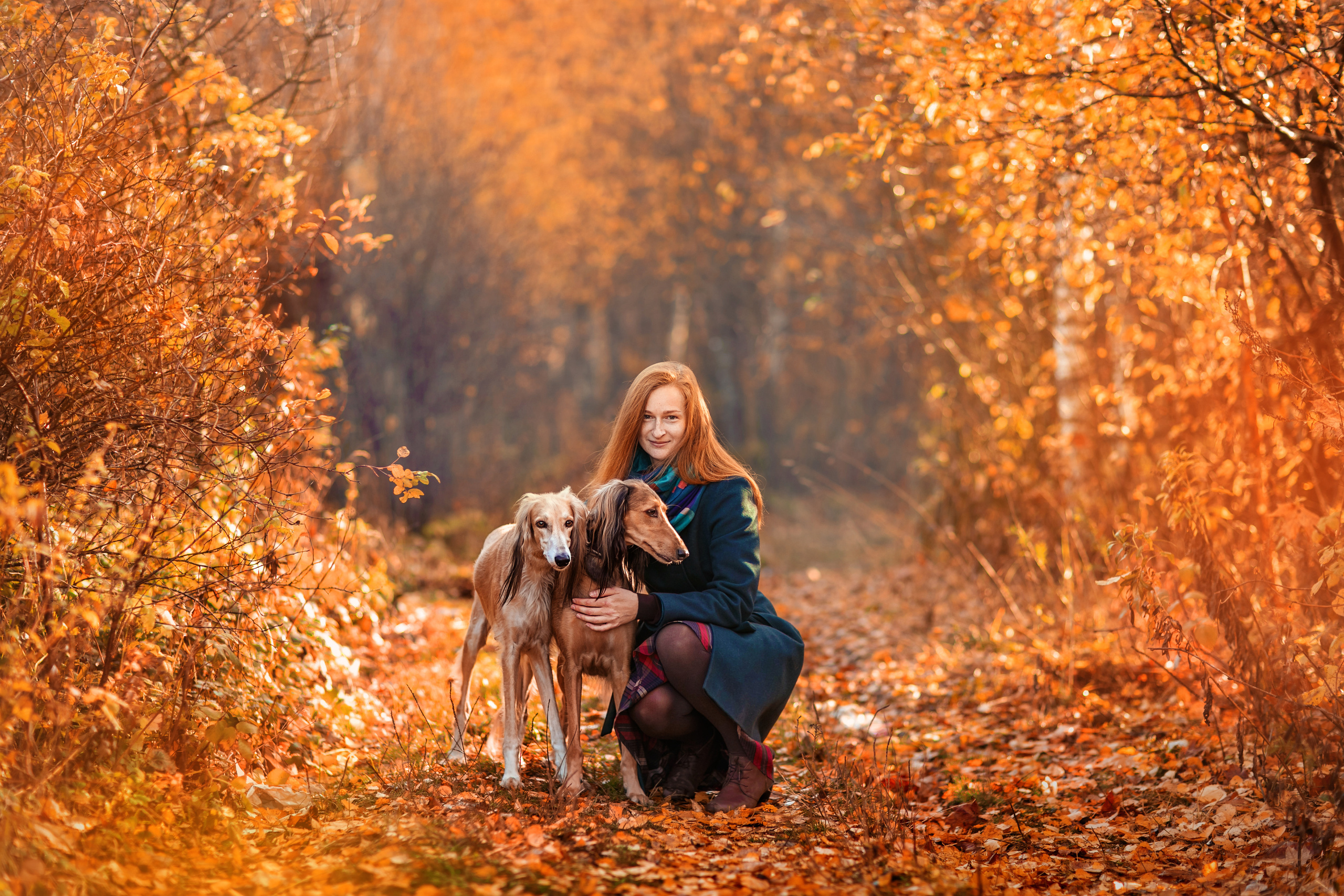 ОСЕНЬ. Дарья Бухреева — фотограф, видеограф и фототерапевт. Москва и мир