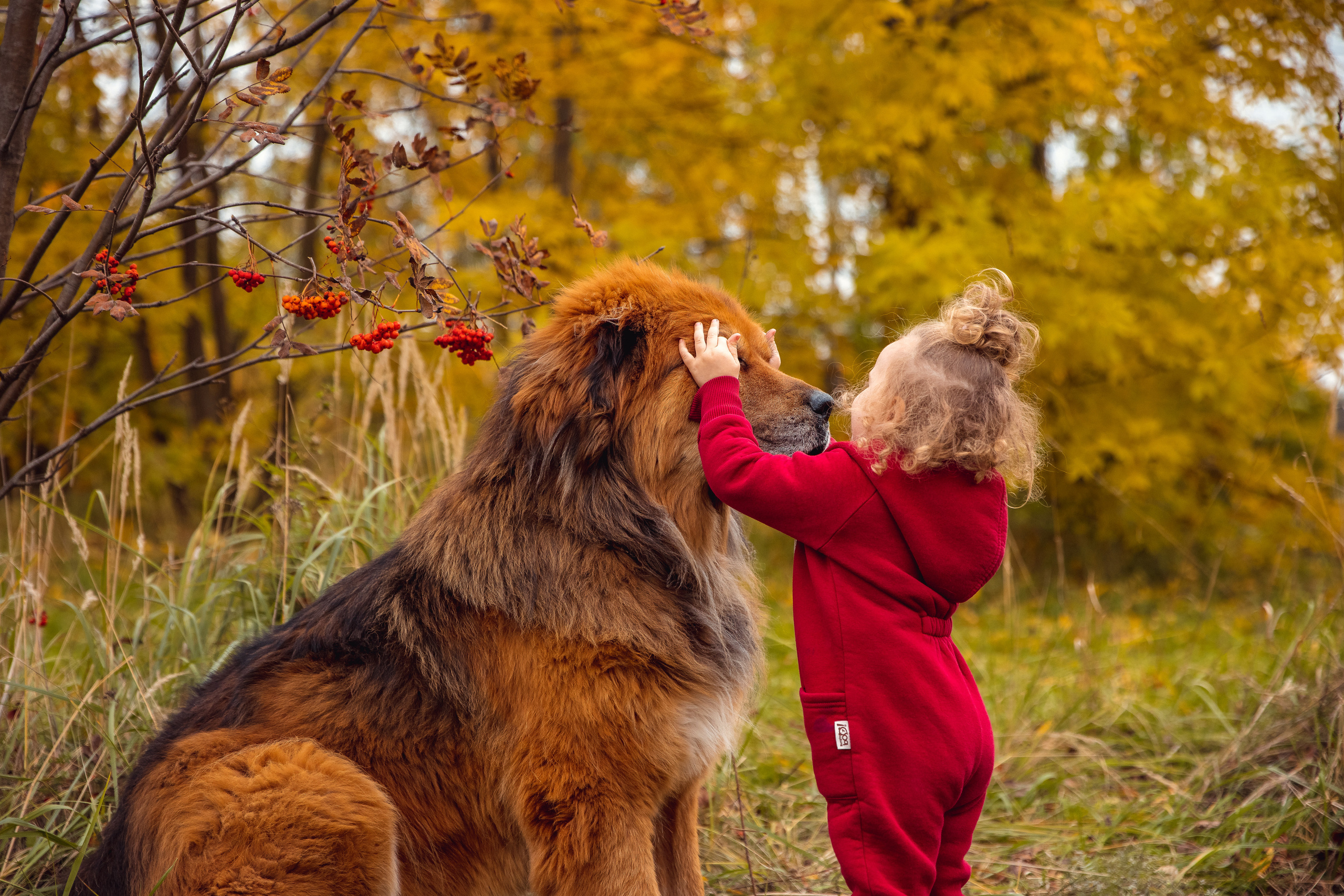 ОСЕНЬ. Дарья Бухреева — фотограф, видеограф и фототерапевт. Москва и мир