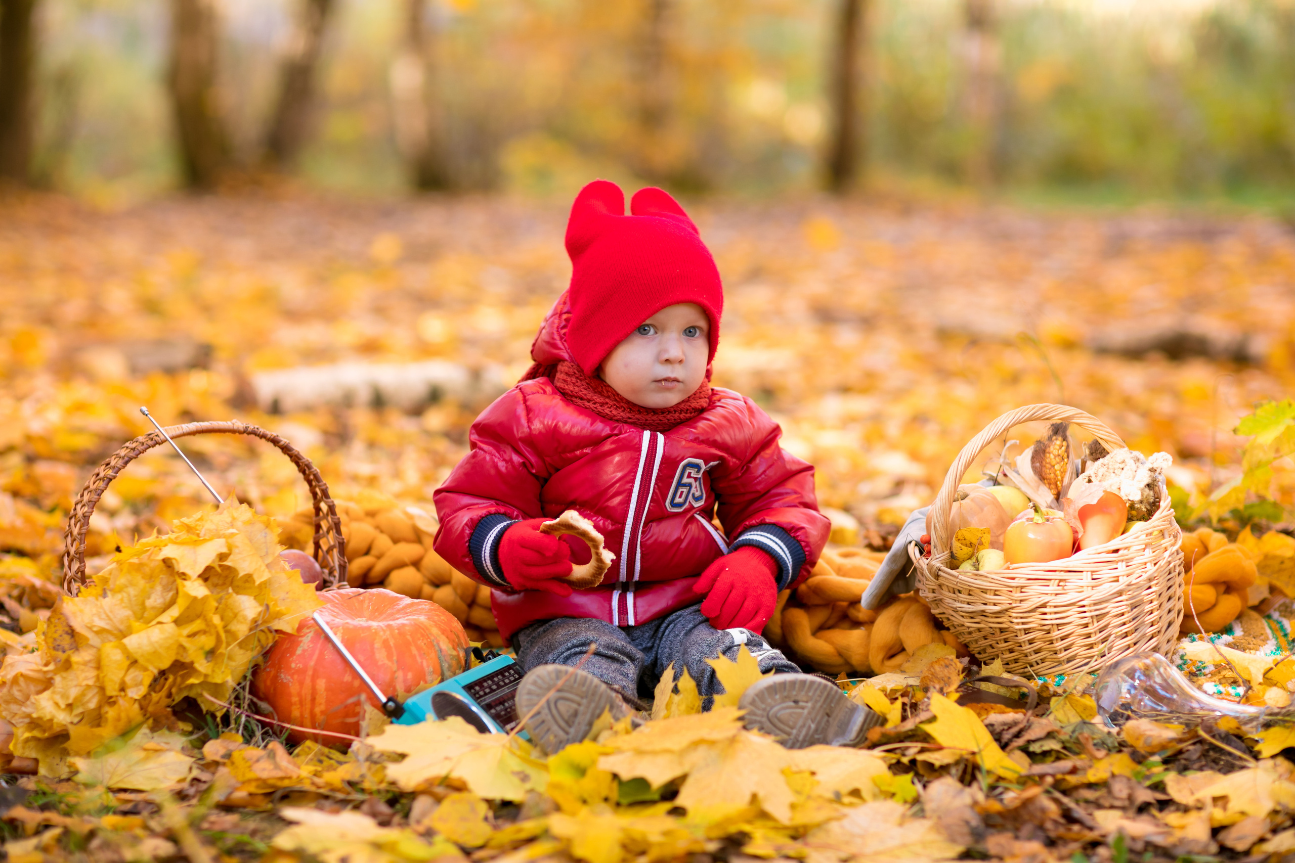 ОСЕНЬ. Дарья Бухреева — фотограф, видеограф и фототерапевт. Москва и мир