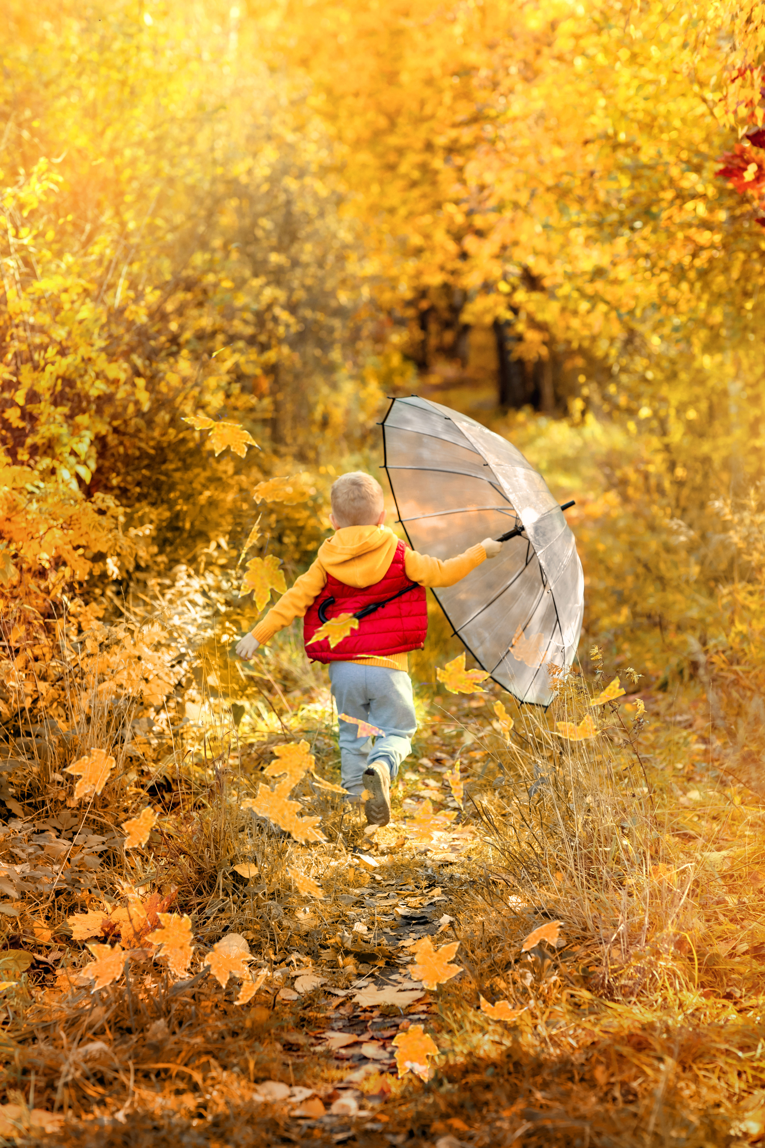 ОСЕНЬ. Дарья Бухреева — фотограф, видеограф и фототерапевт. Москва и мир