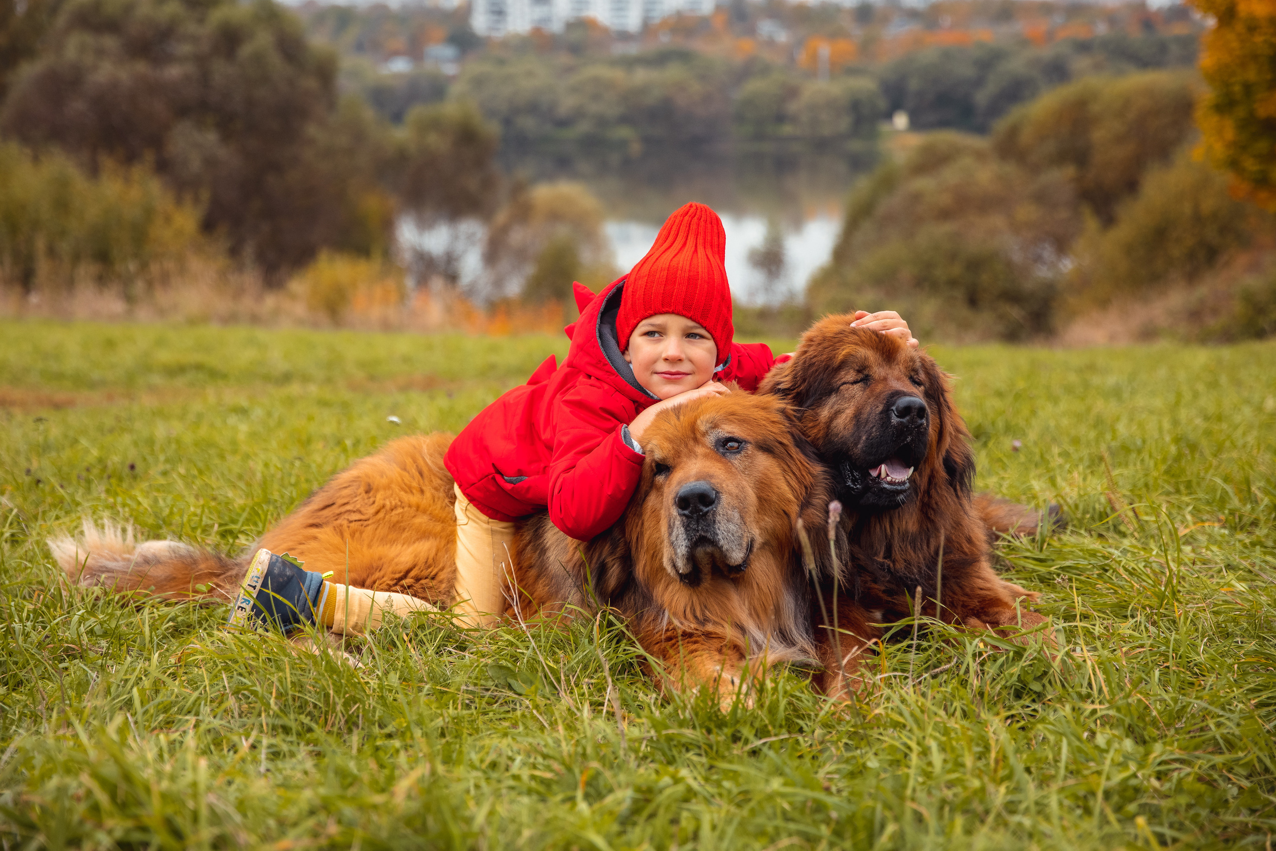 ОСЕНЬ. Дарья Бухреева — фотограф, видеограф и фототерапевт. Москва и мир