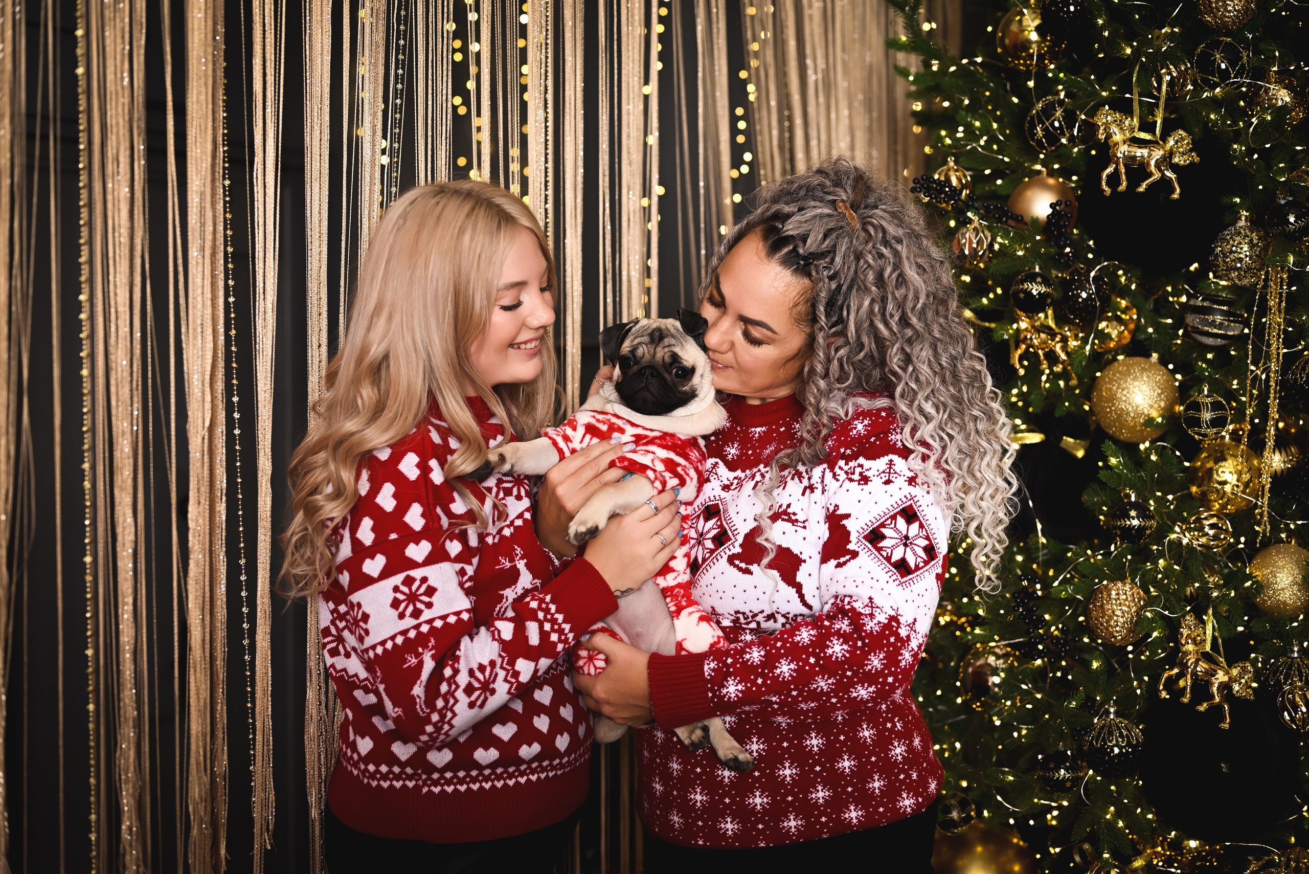 С Бонитой. Фотостудия Зефир. Фотосессии в студии под ключ. Москва. Семейные и детские фотосессии