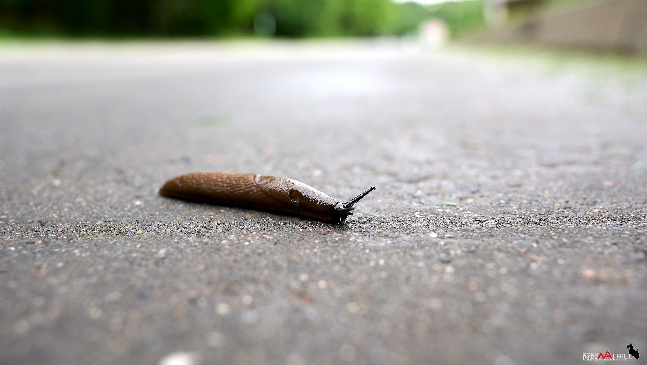 Съемка в парке на воде