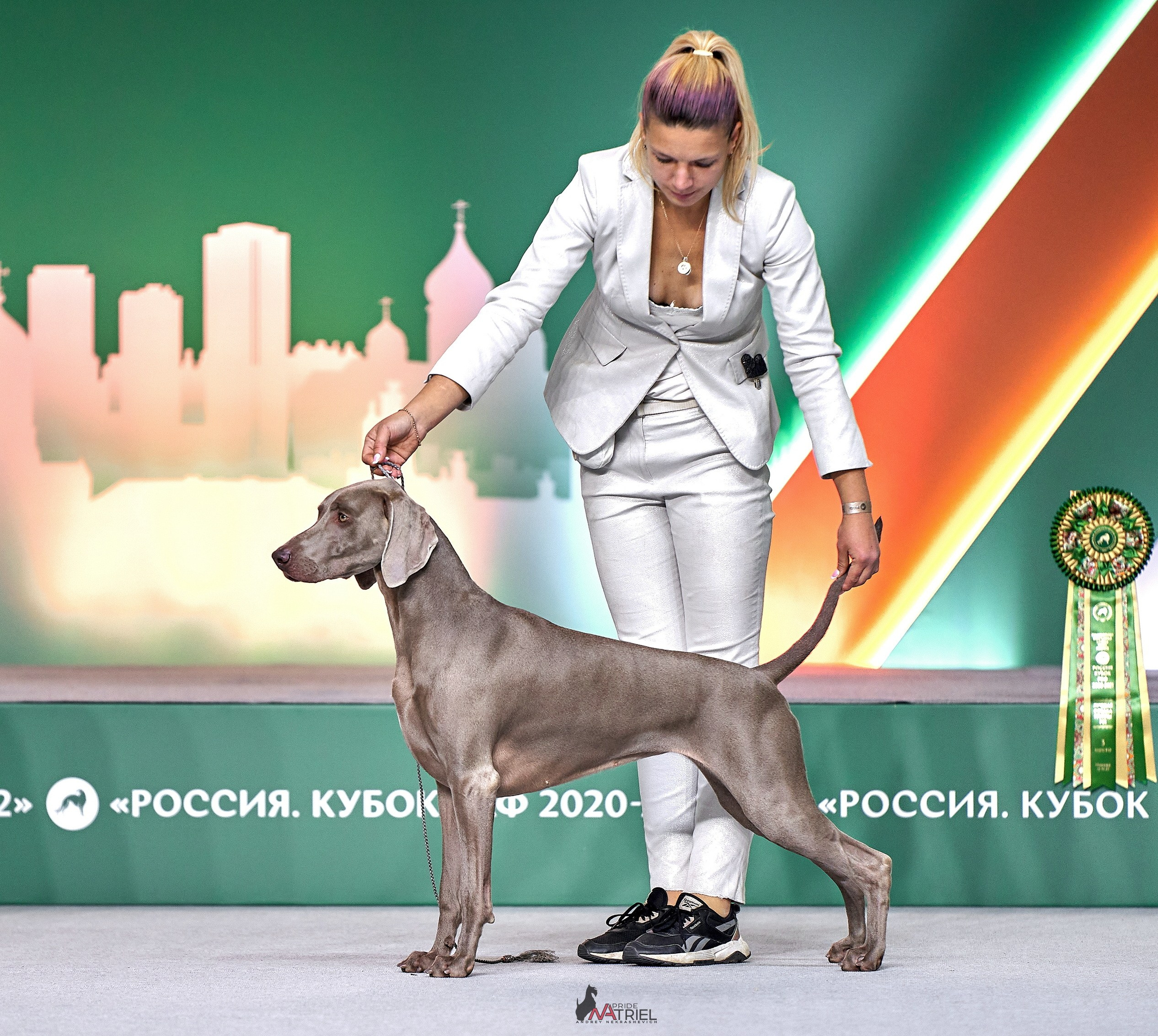 Работа в рингах — галерея NATRIEL