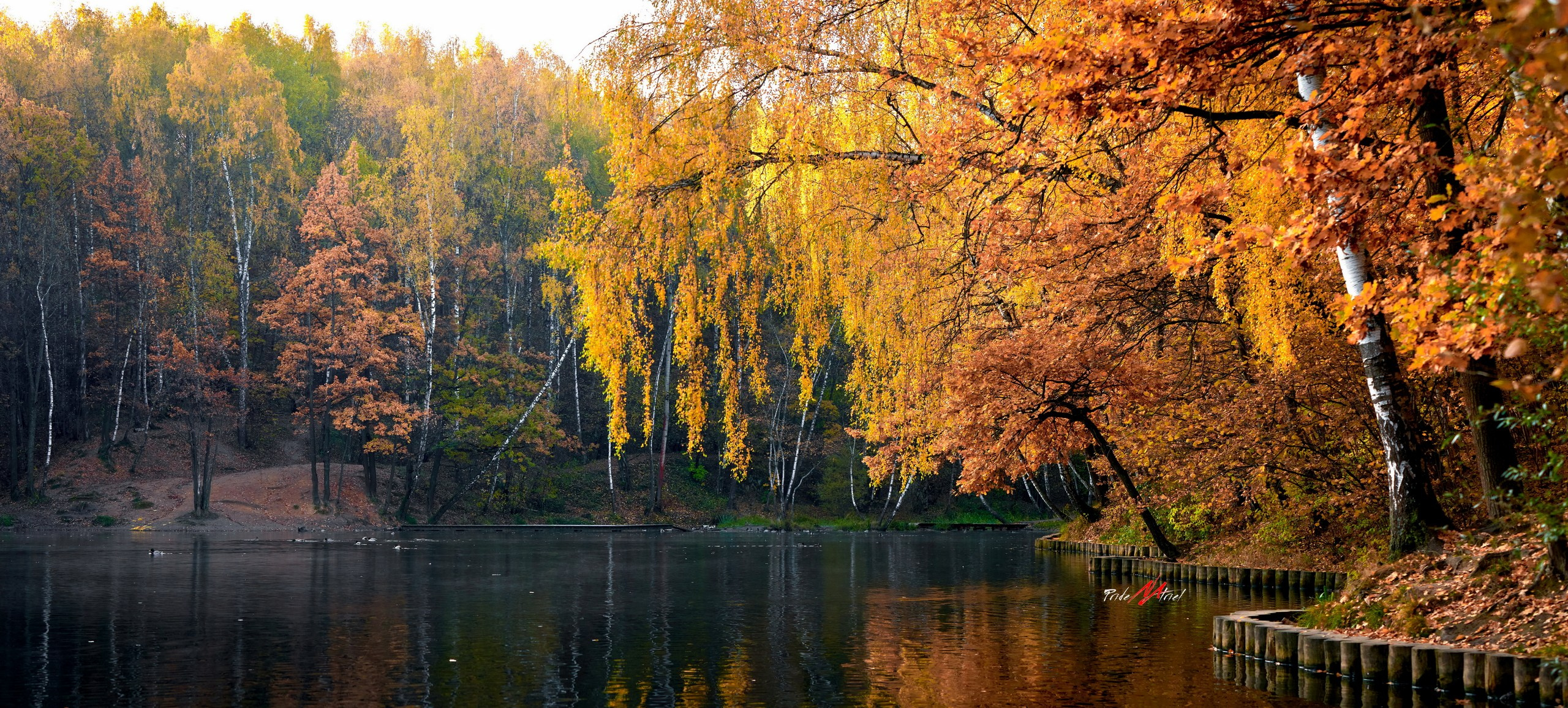 Пейзаж — галерея NATRIEL