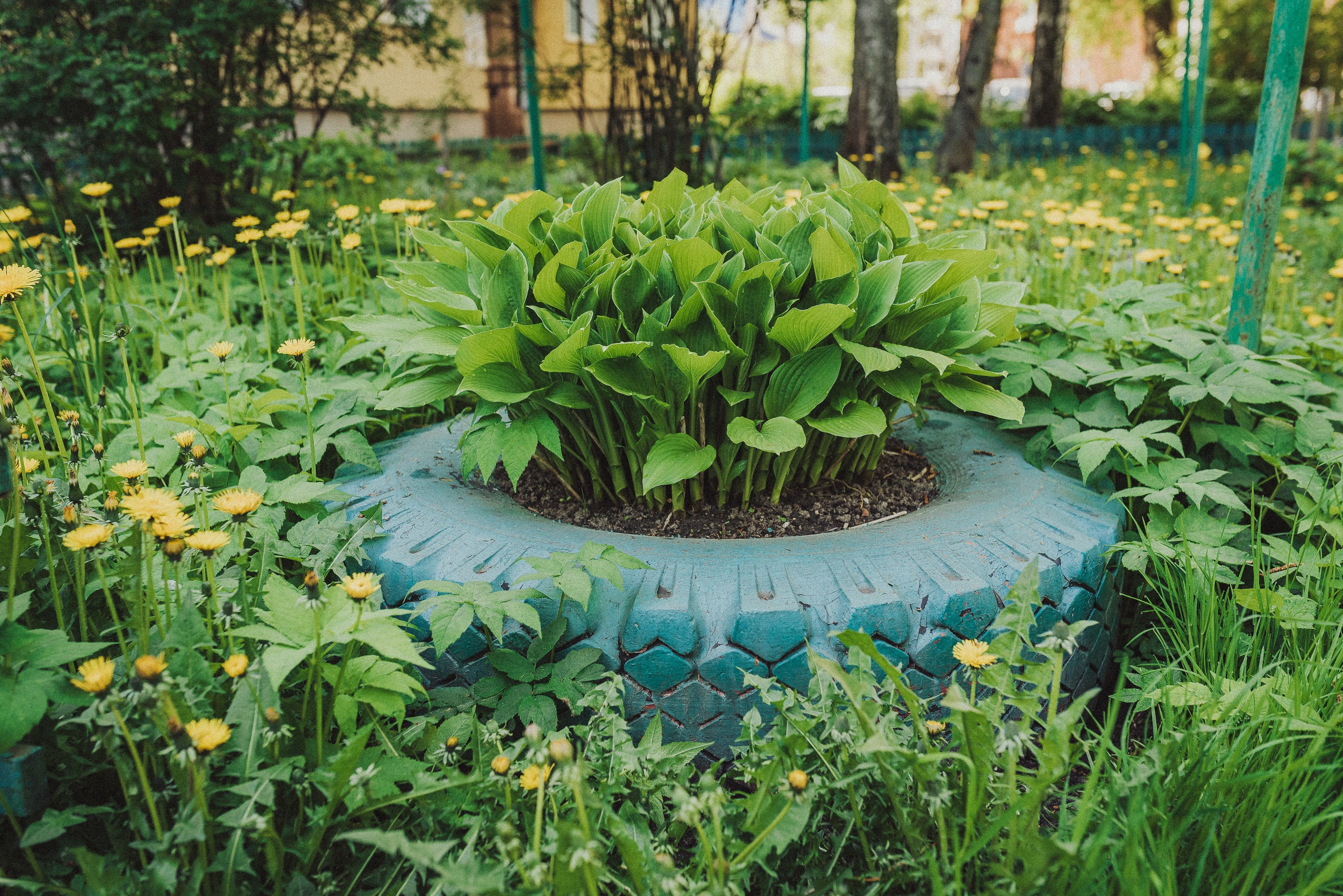 Фотопроект «ЯШина». Документальный фотограф Илья Тихановский