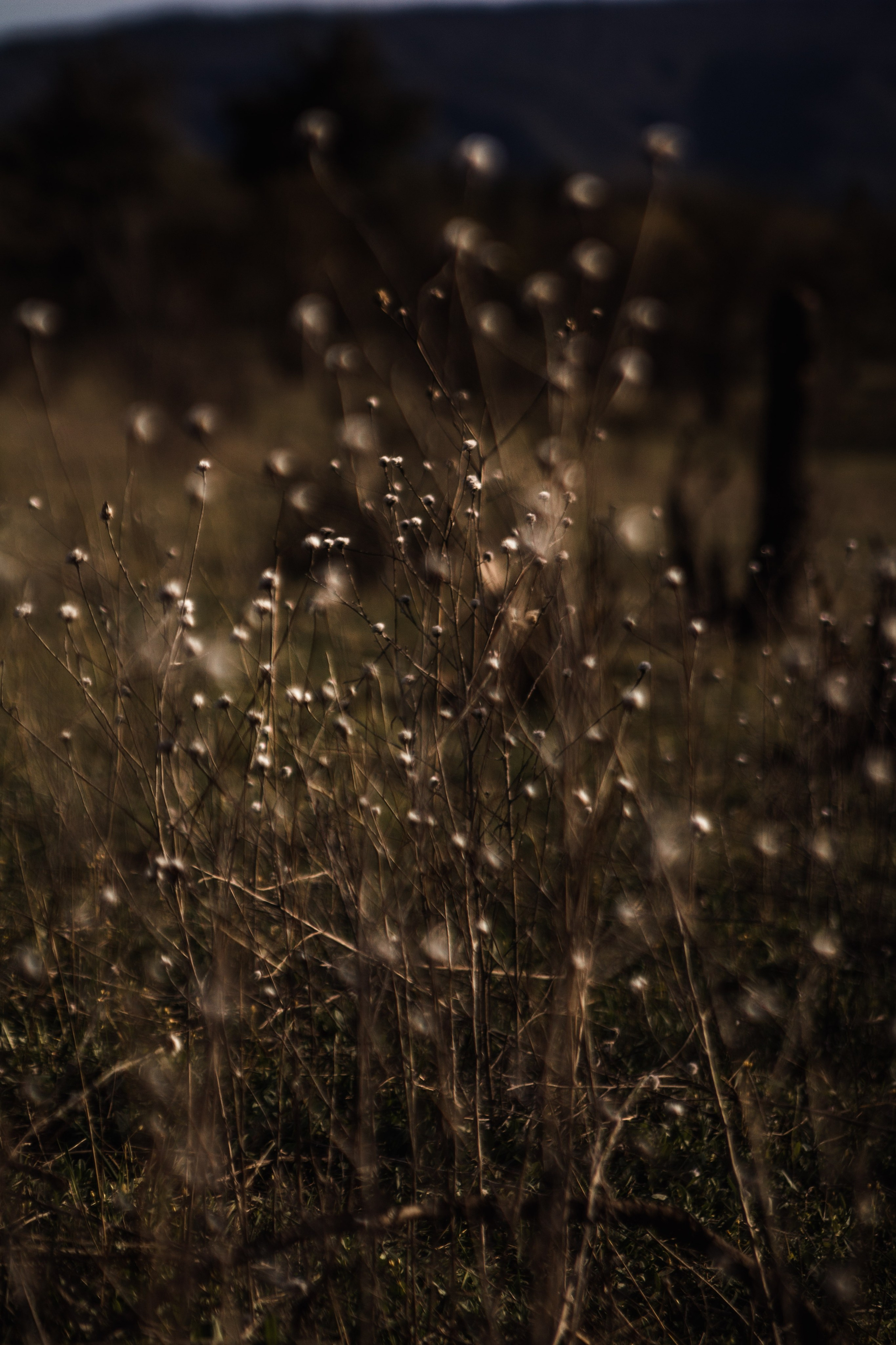 Весна. Катя Цвет