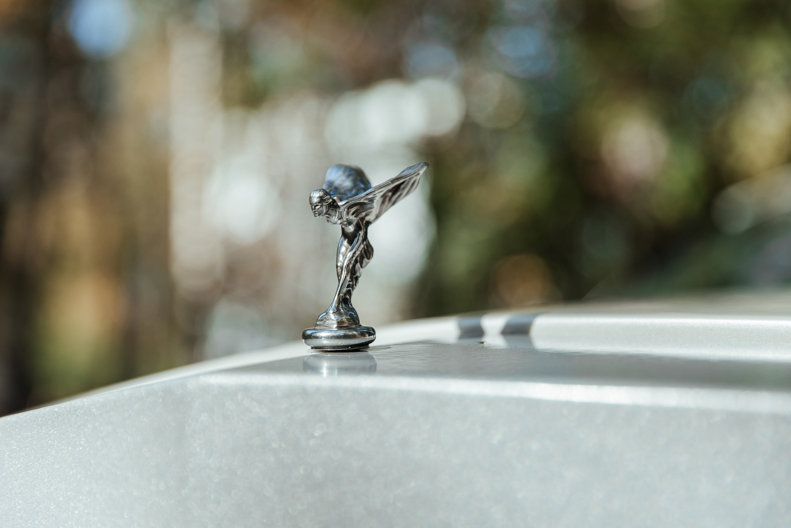 Алина и Андрей| Железнодорожный. Фотограф Москва Шептаев Артём