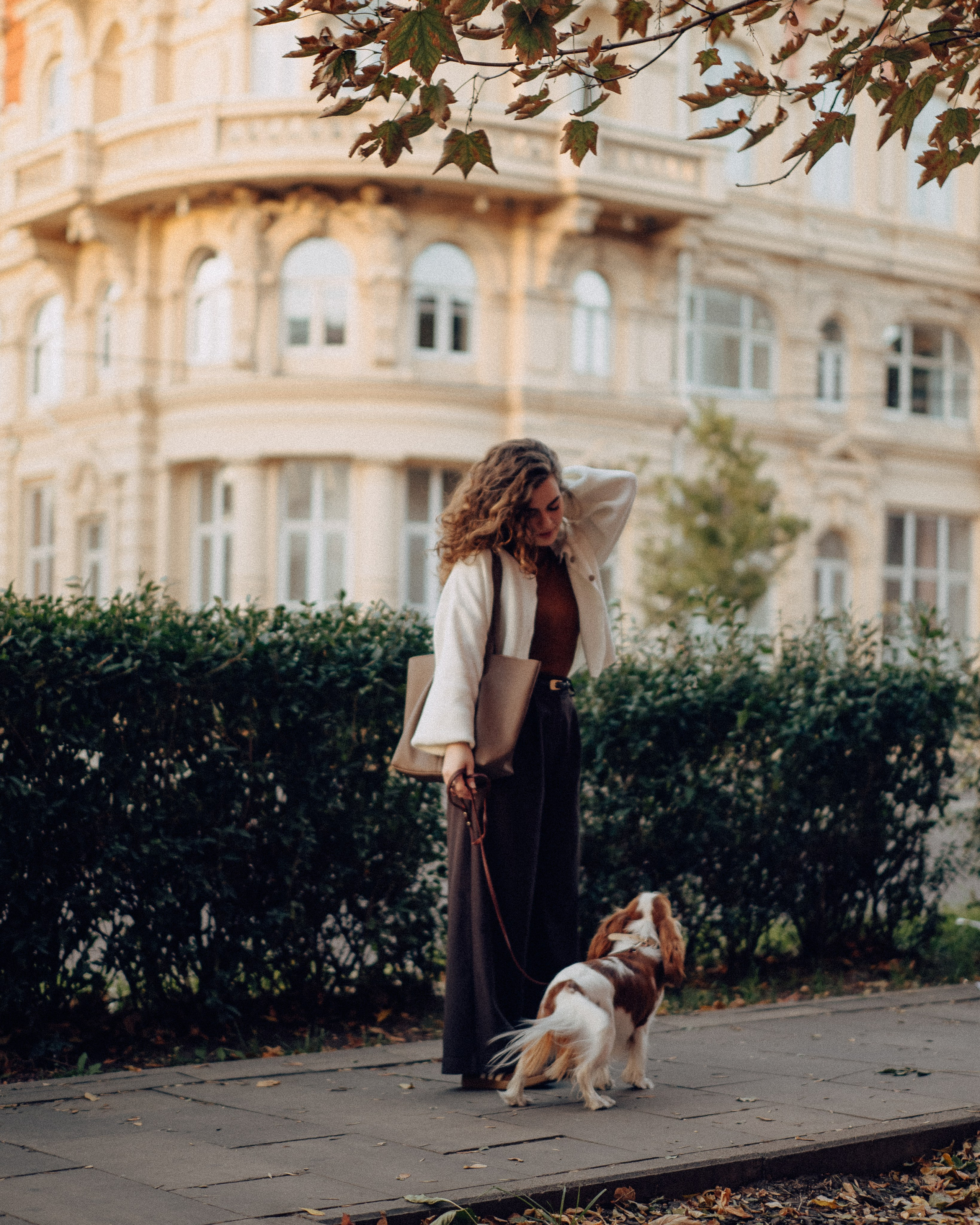 Осенняя фотосессия с собачкой