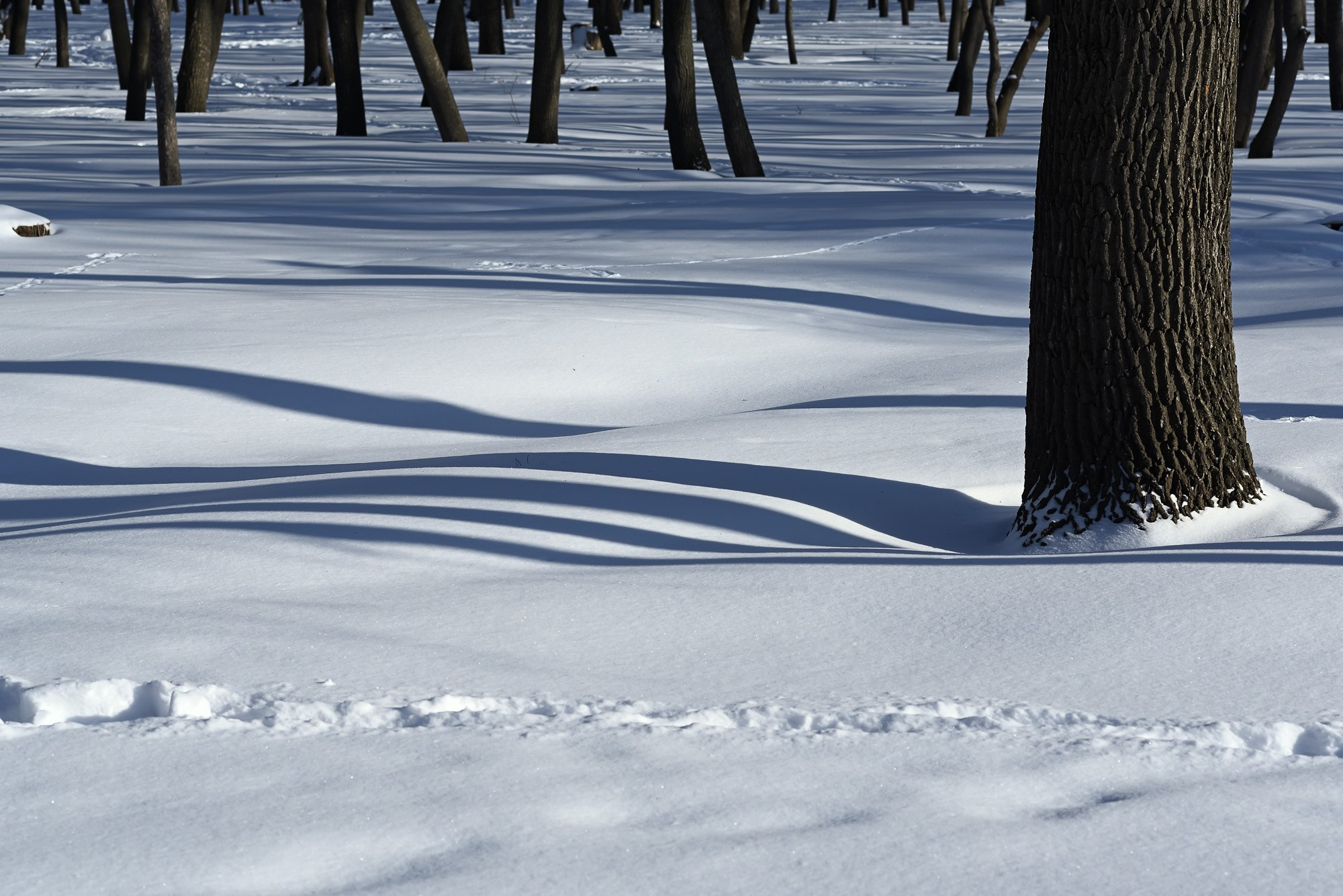 Фотограф Константин Ясинский