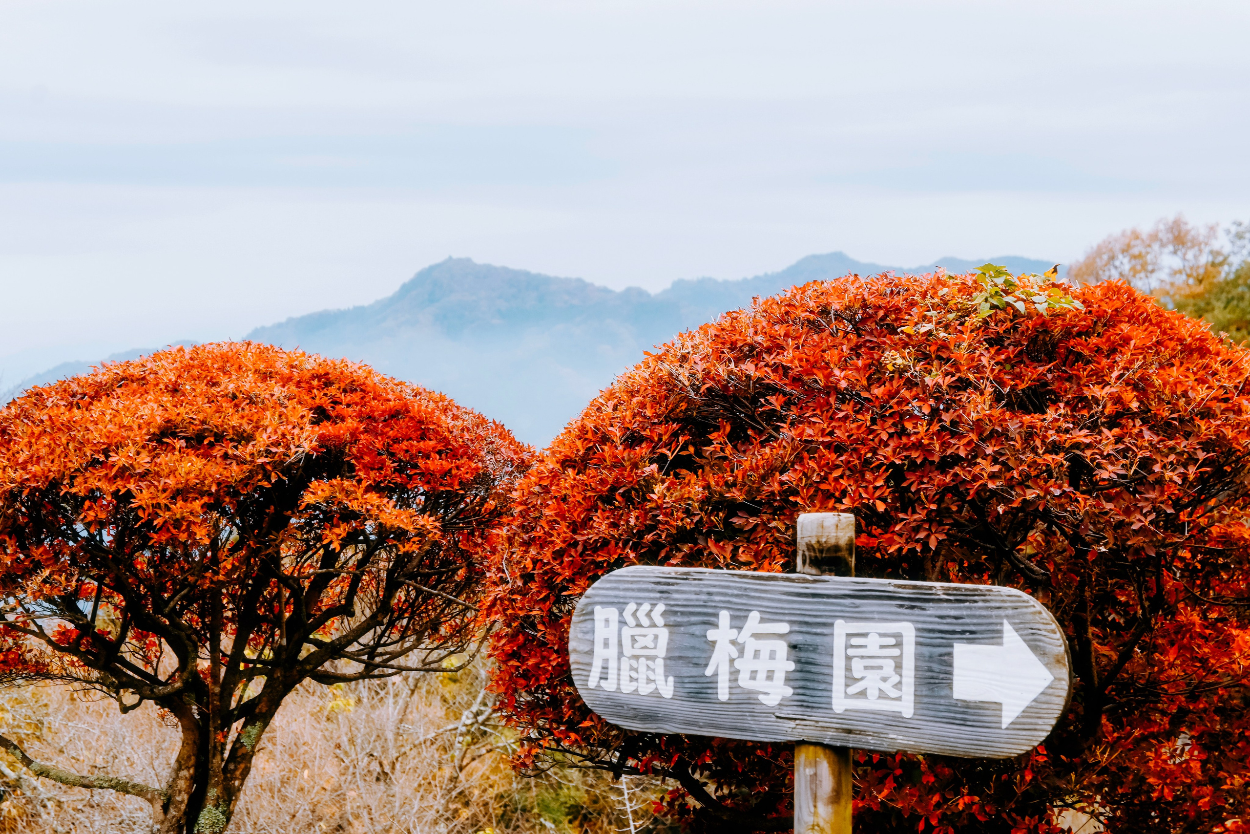 Japan village street. Iraogo