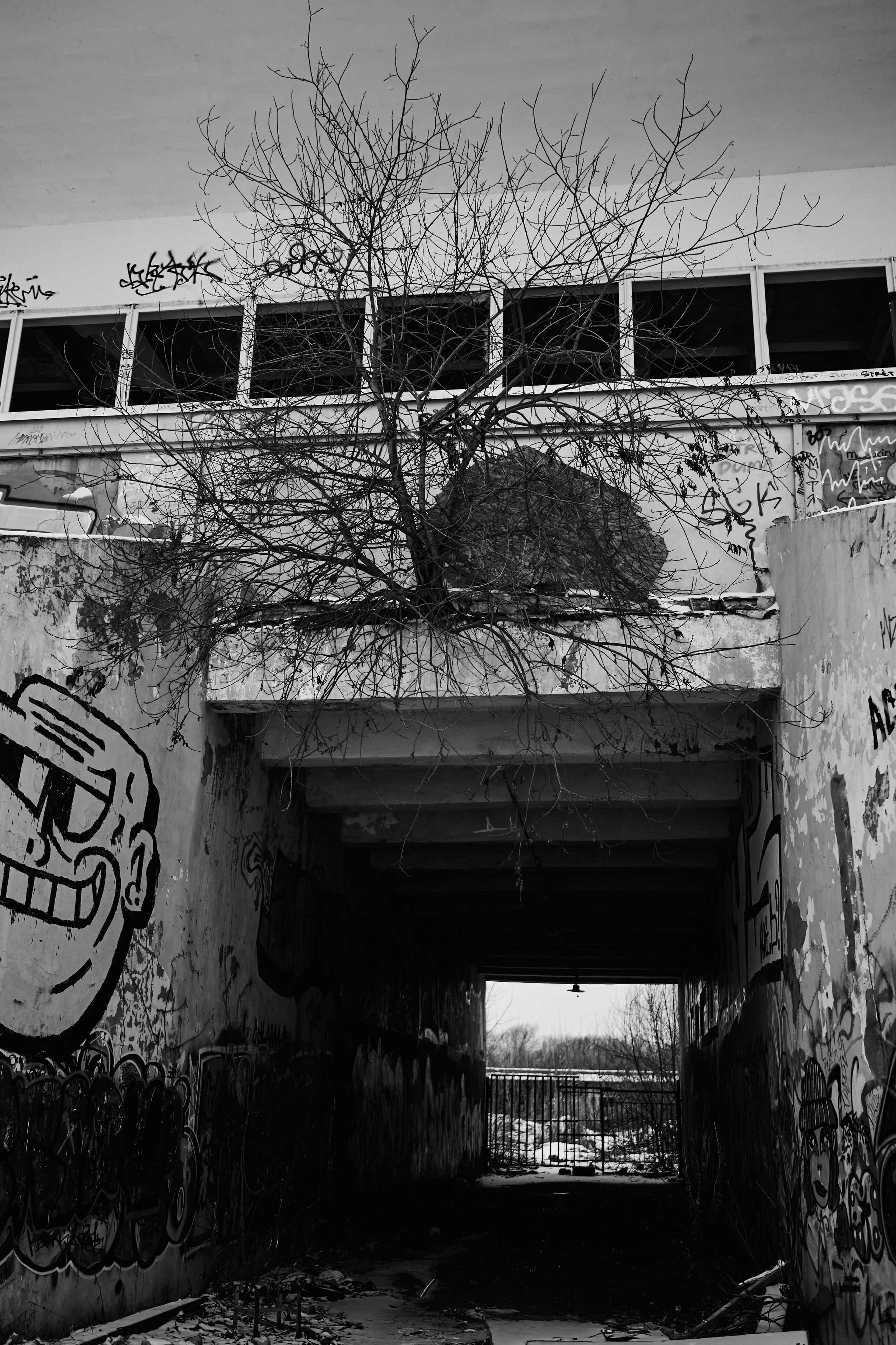 Иван. 25.01.25. Ксения Малышева|Фотограф|Тверь