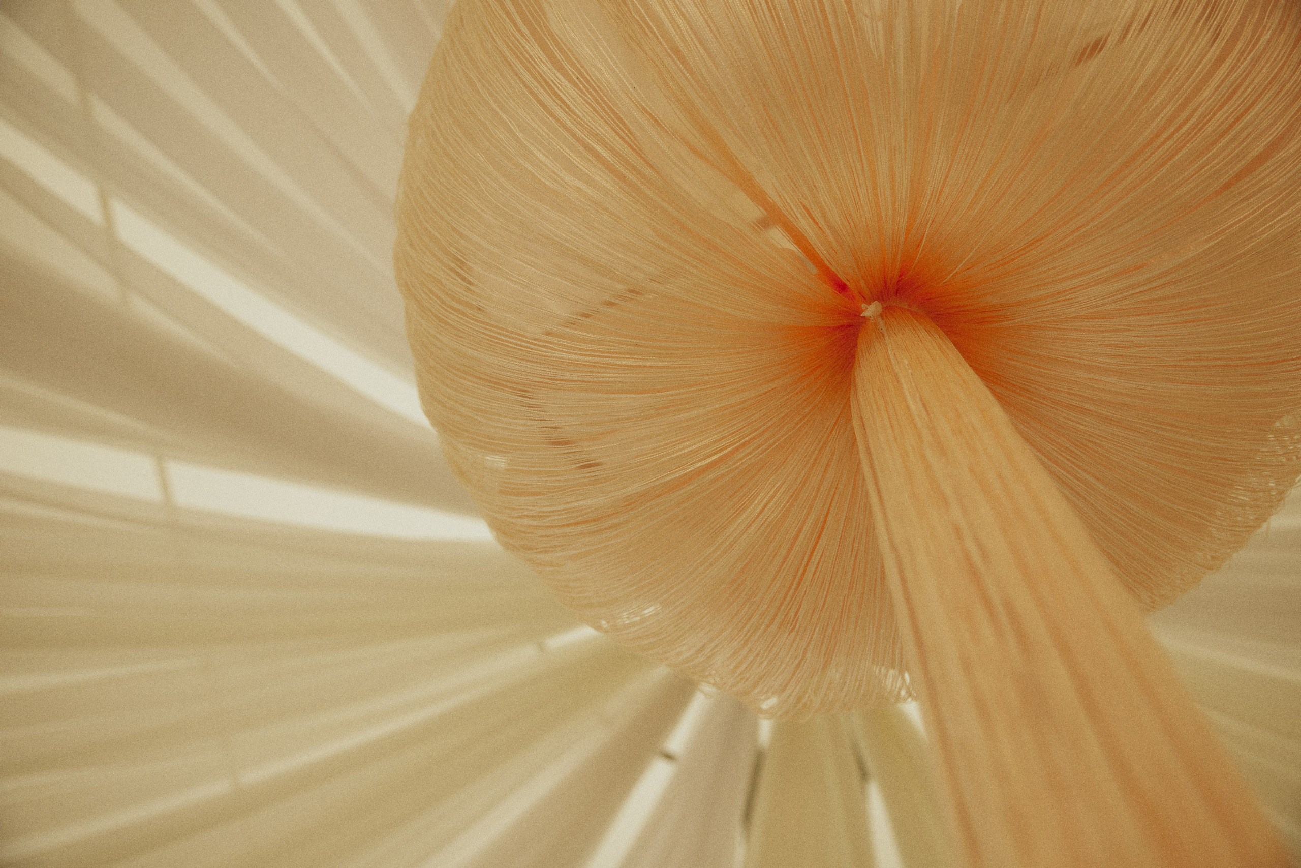 AMORE DA CINEMA. Дмитрий Мазуркевич: Профессиональный Репортажный Фотограф