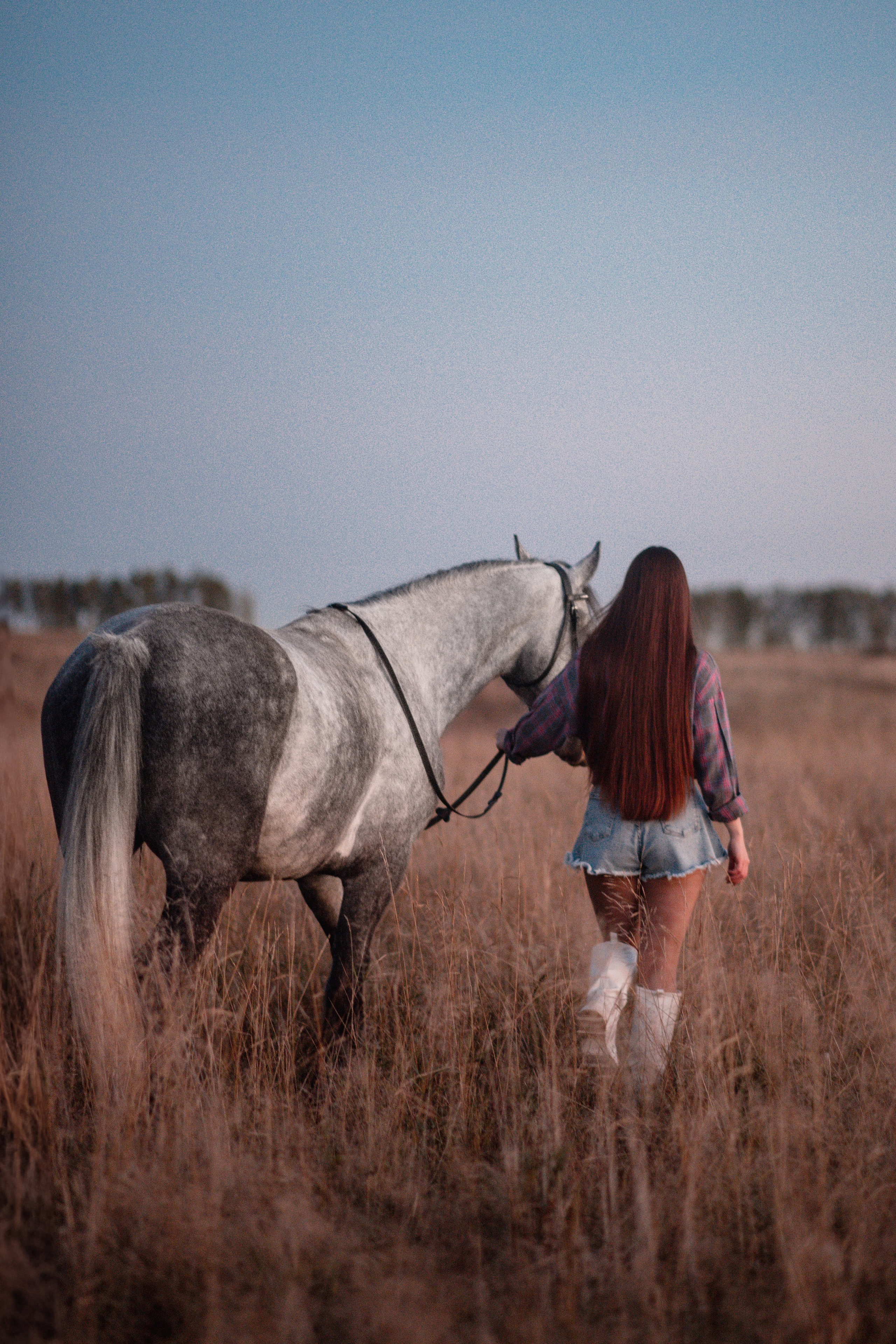 Вероника и Дакар — 23.09.2024. Фотограф — Анималист | Анна Абрамова