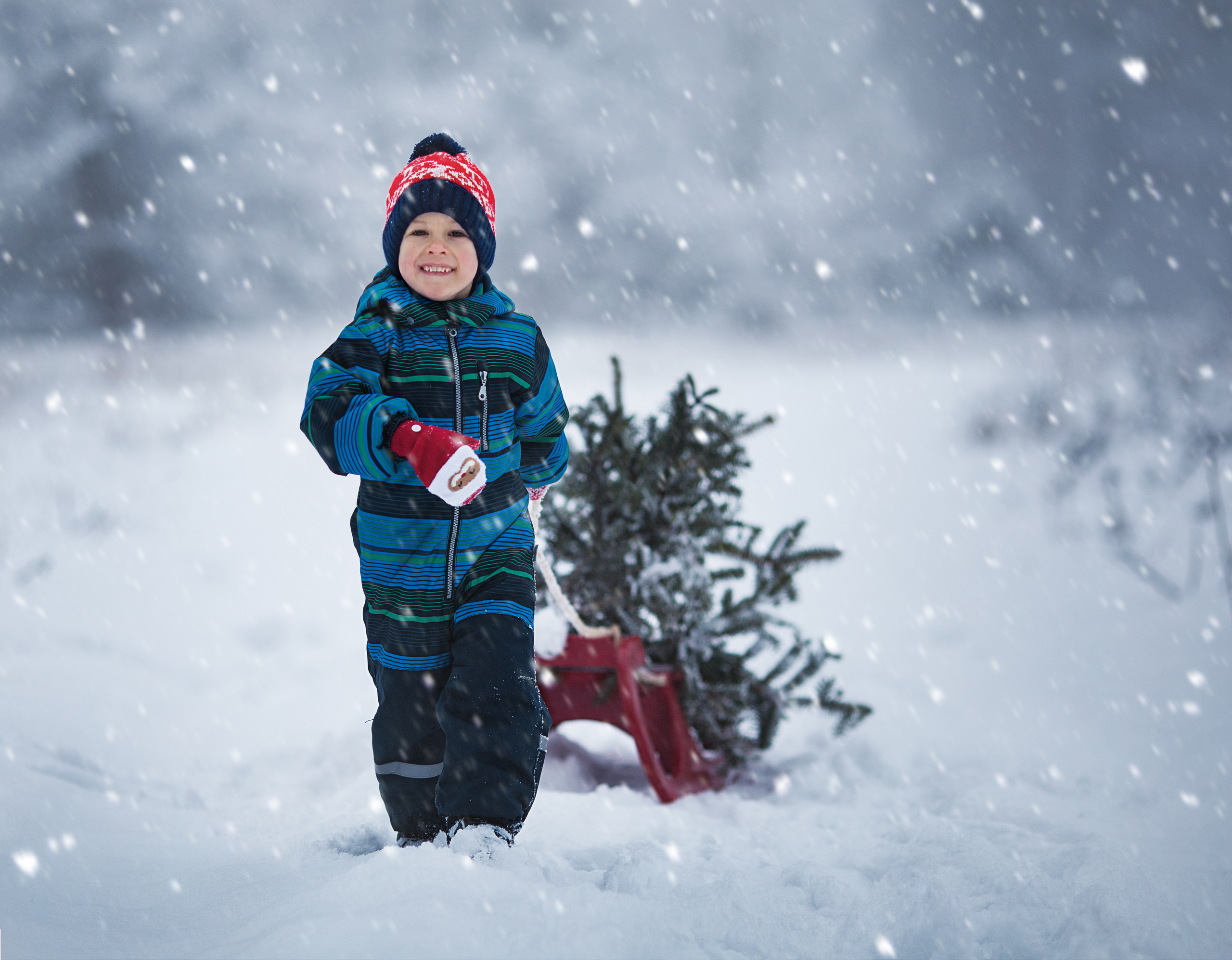 Семейные съемки. Семейный фотограф Ставрополь Юлия Манж