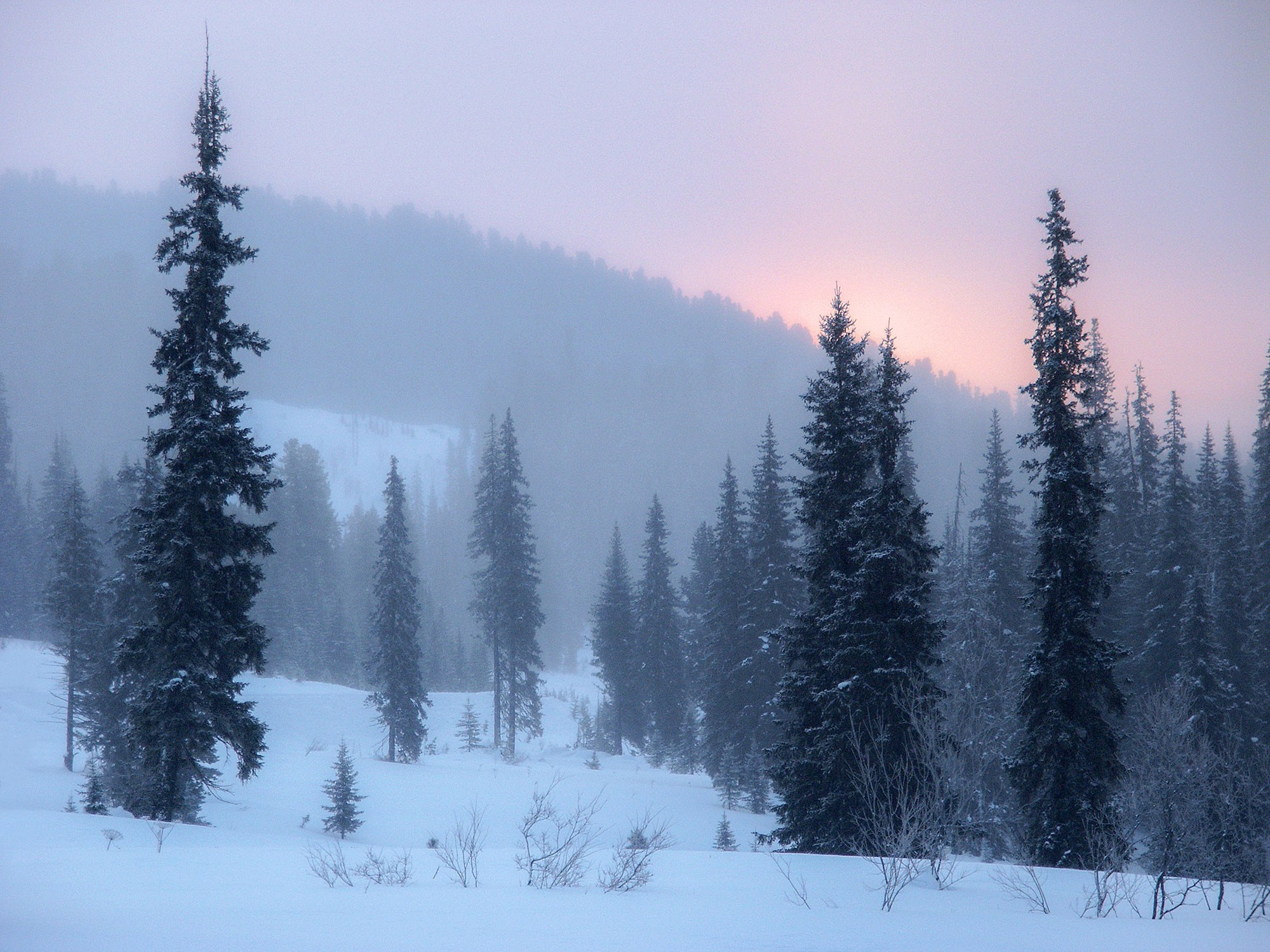 Свадебный фотограф Геленджик