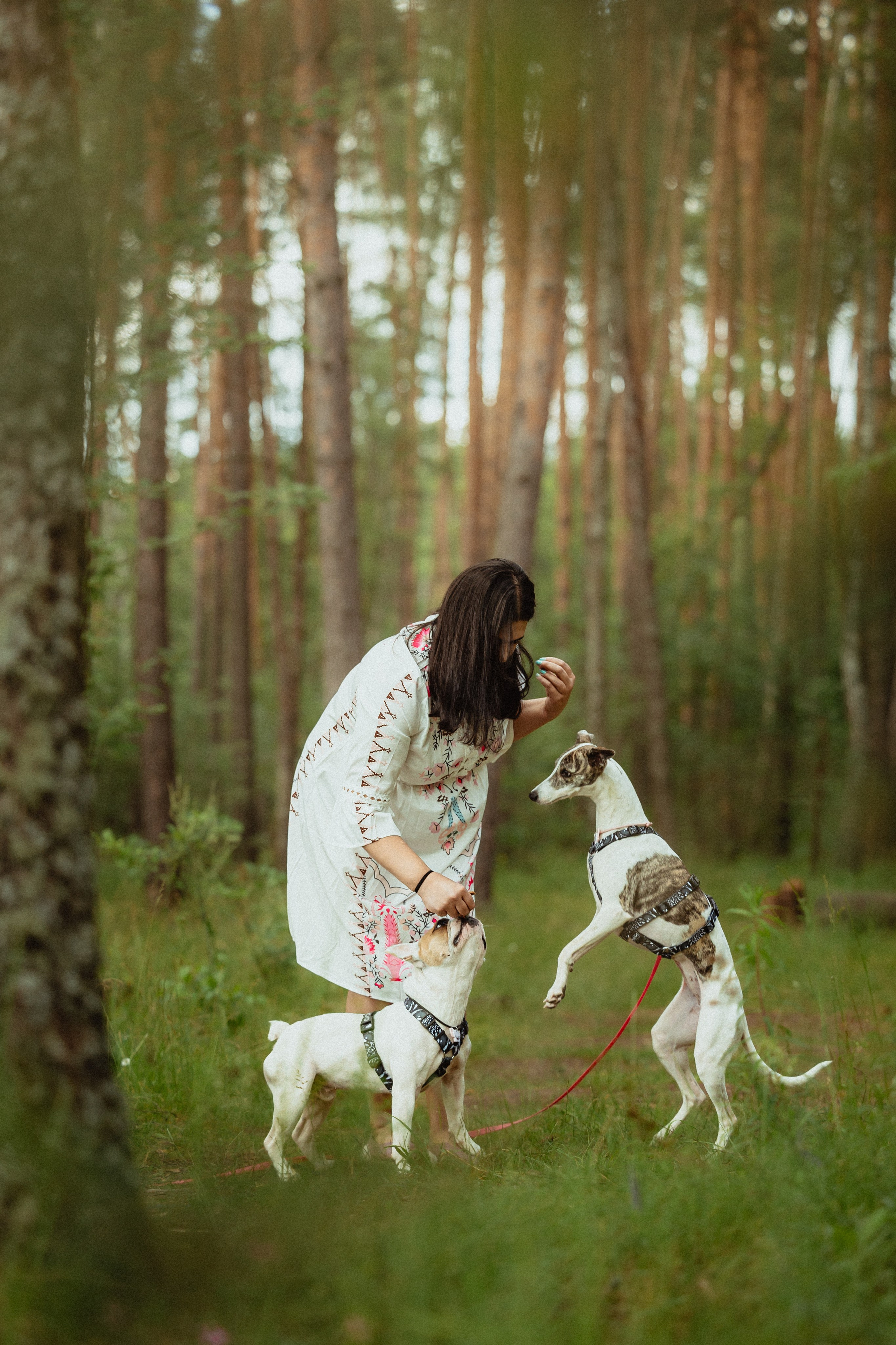 Выездной дог-тренинг от школы «Шерсть имею»