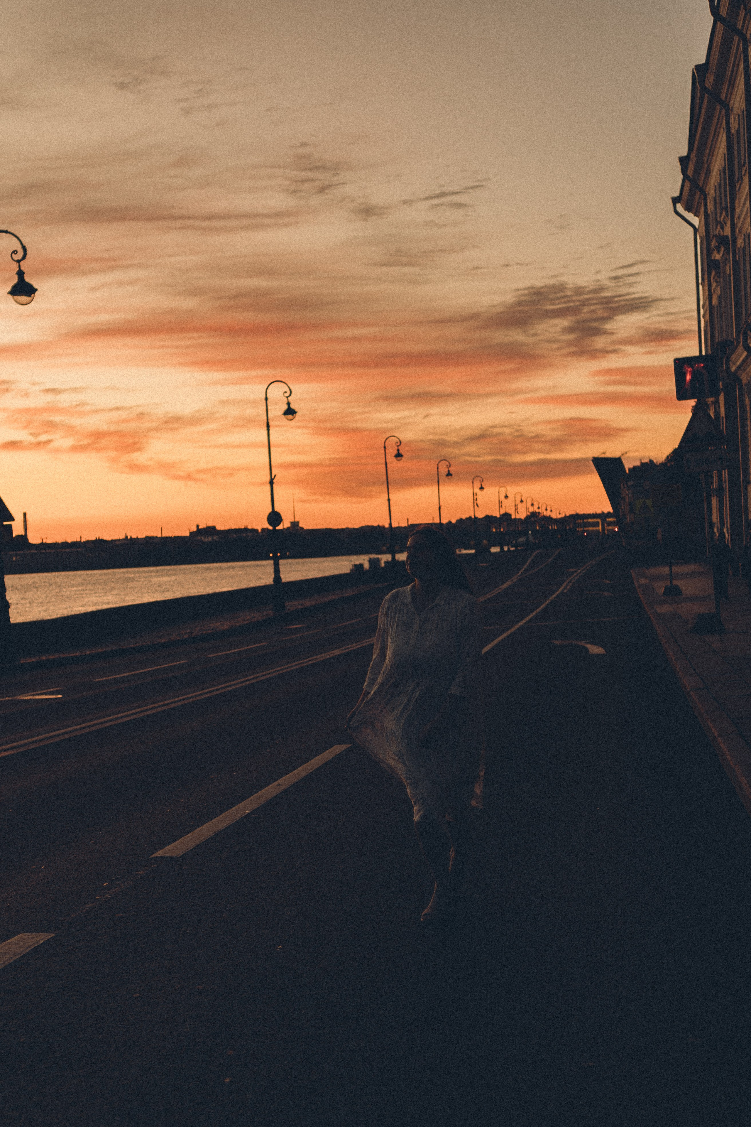 РАССВЕТ С РАЗВОДНЫМИ МОСТАМИ. Профессиональный фотограф, Санкт-Петербург — Виктория Богомолова