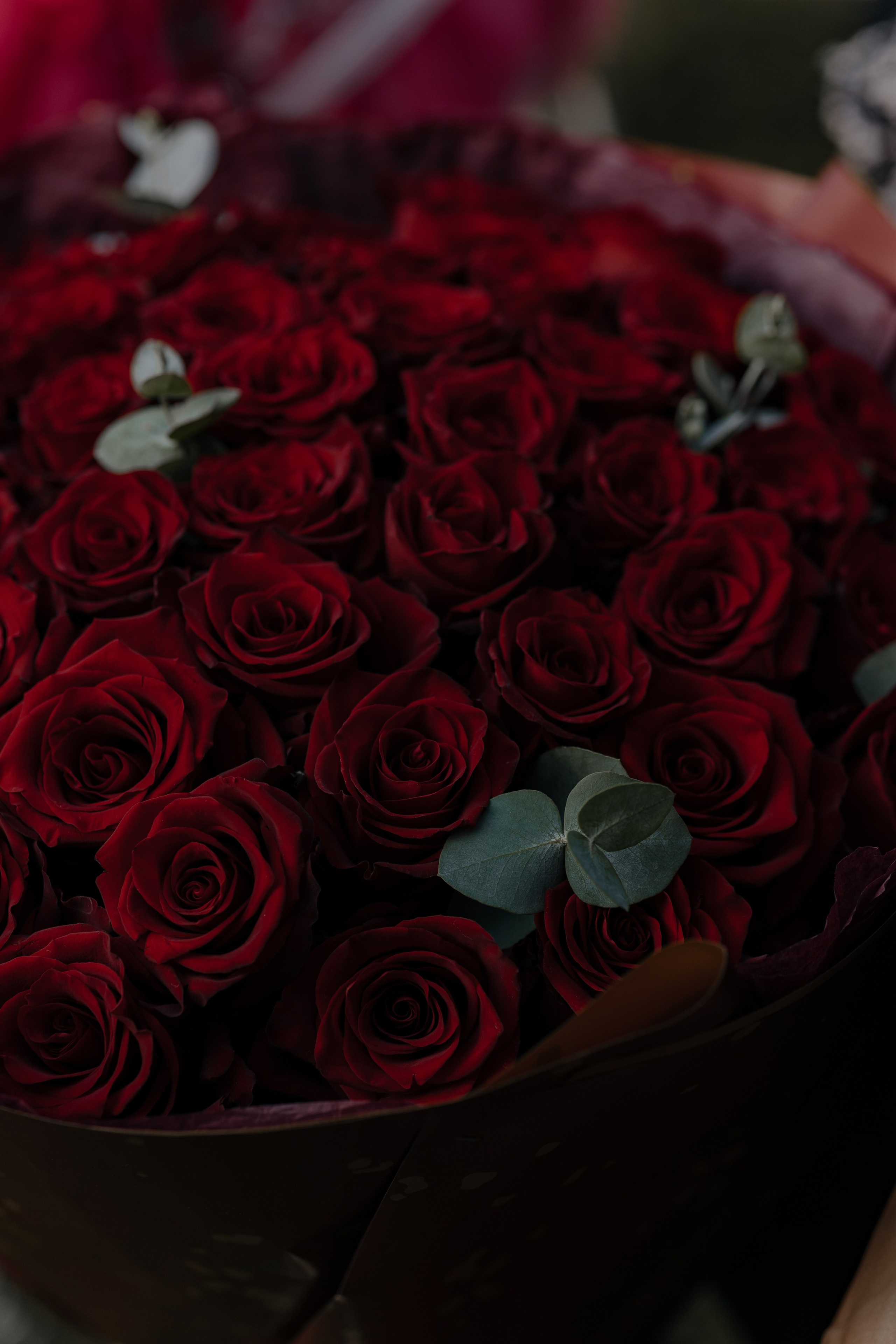 24.08.2024. RETOUCH-HOUSE