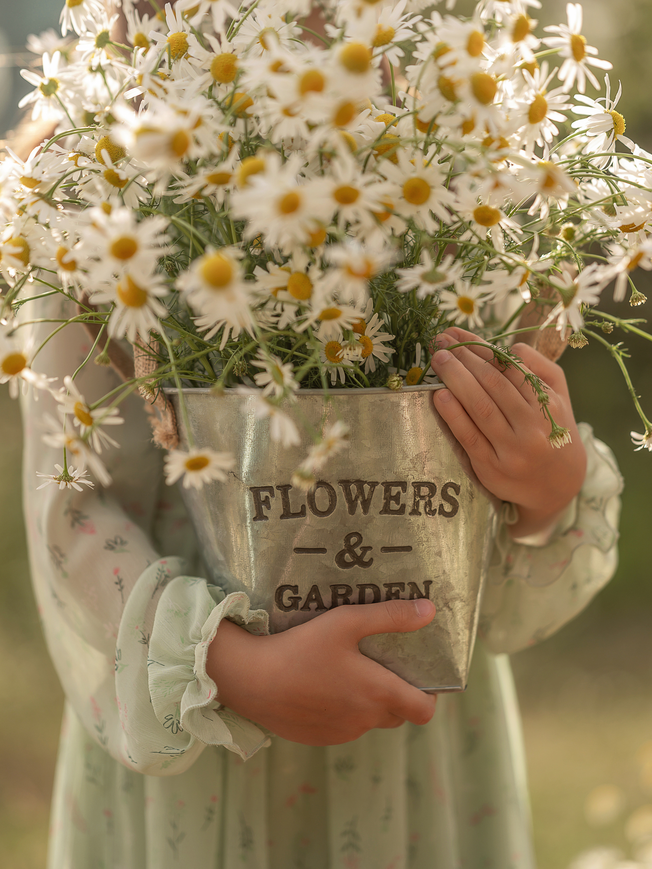 Детский фотопроект Ромашки. Детский и семейный фотограф Склярова Екатерина