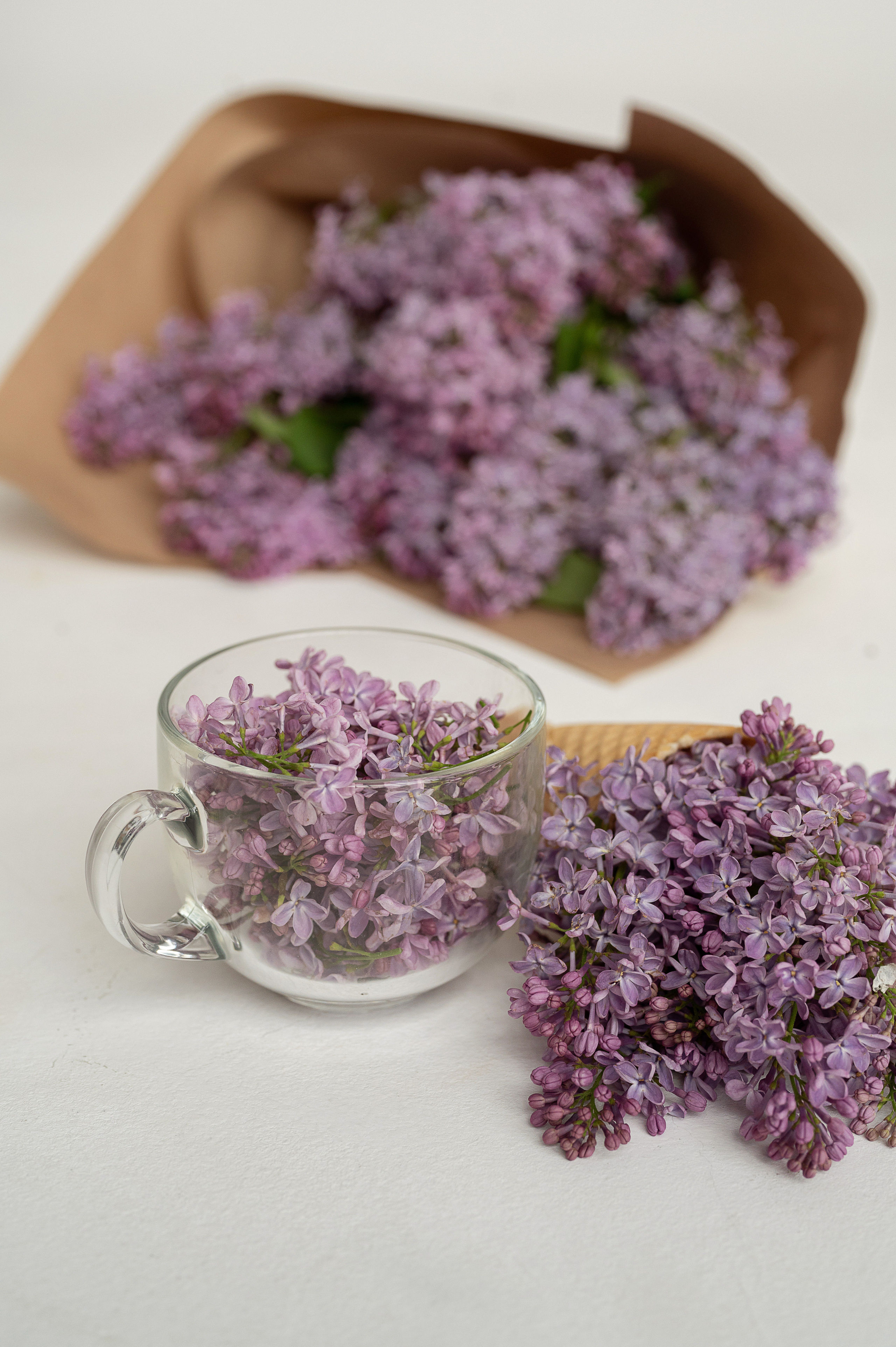 Сиреневое настроение. Детский и семейный фотограф Склярова Екатерина