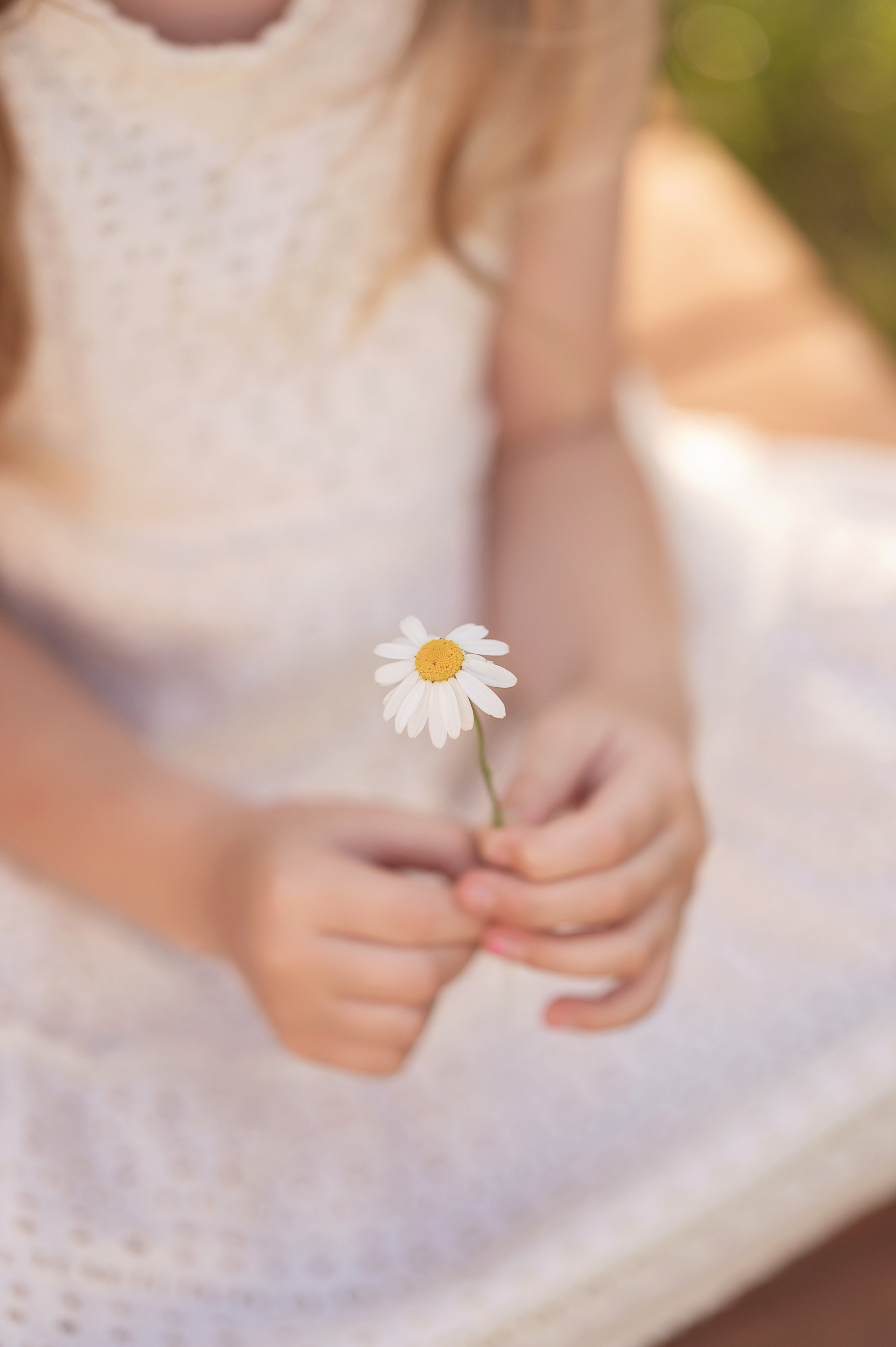 Детский фотопроект Ромашки. Детский и семейный фотограф Склярова Екатерина