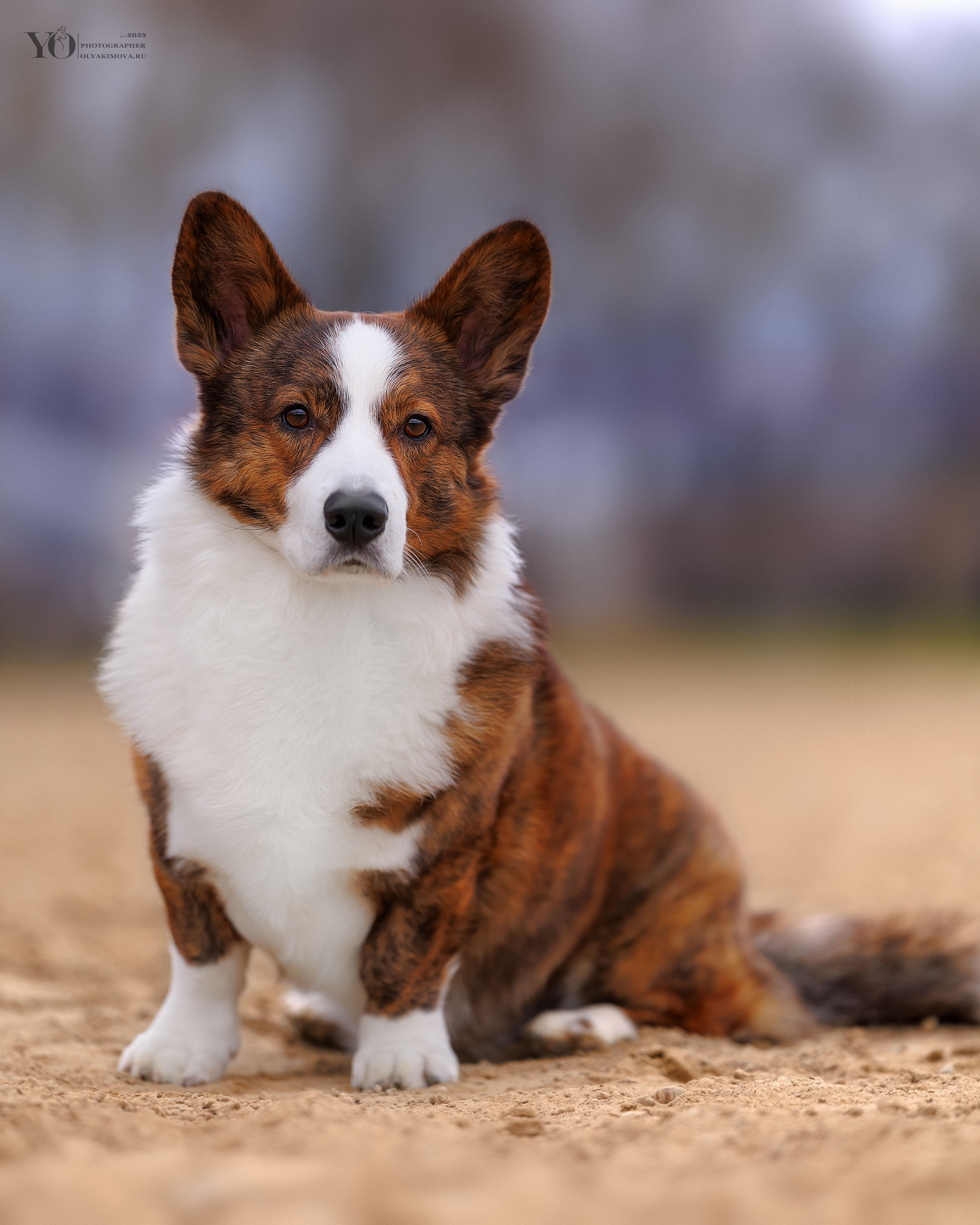 Экстерьер. Фотограф