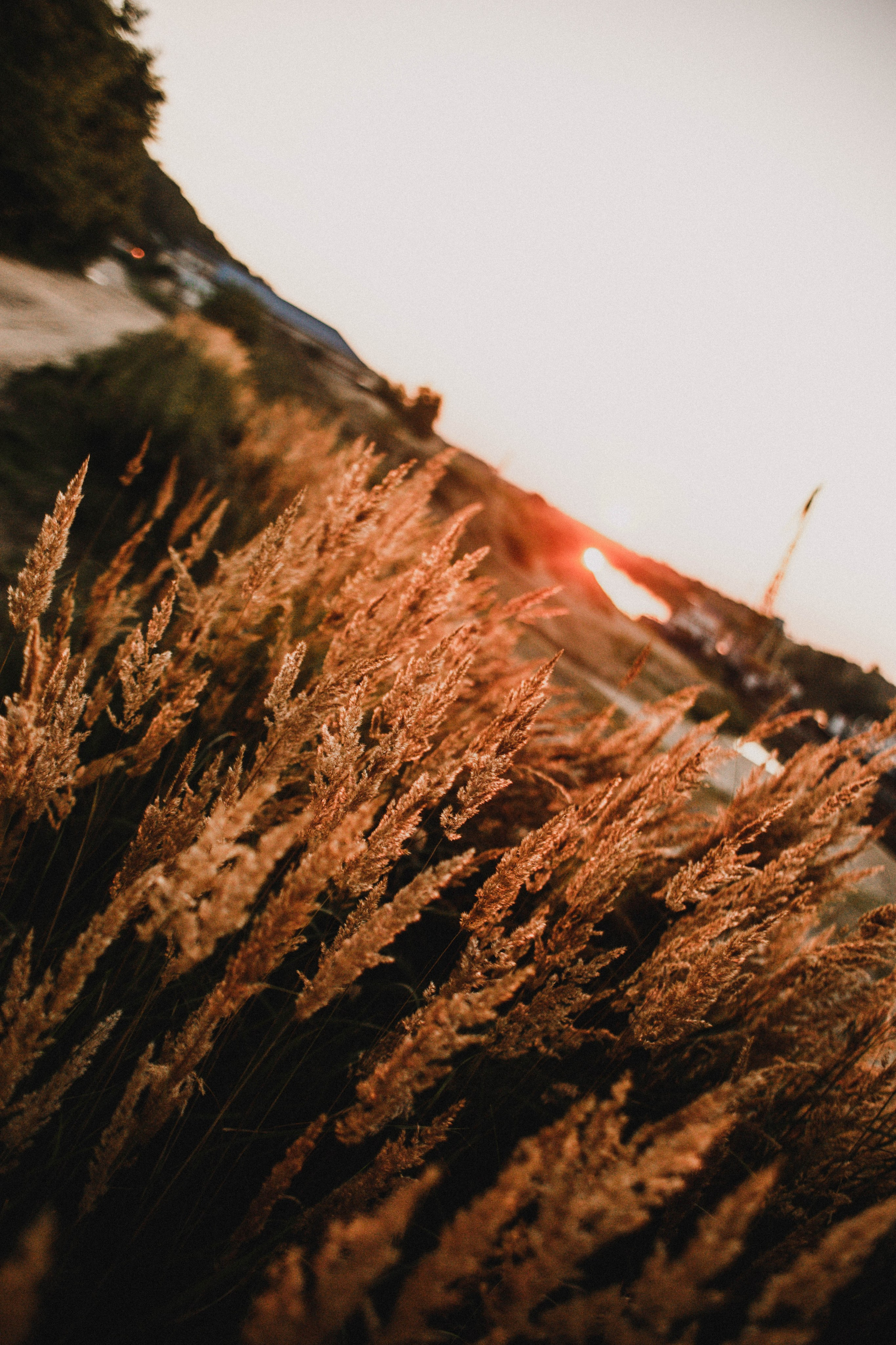 Ирина. Закат на реке. Фотограф в Нижнем Новгороде
