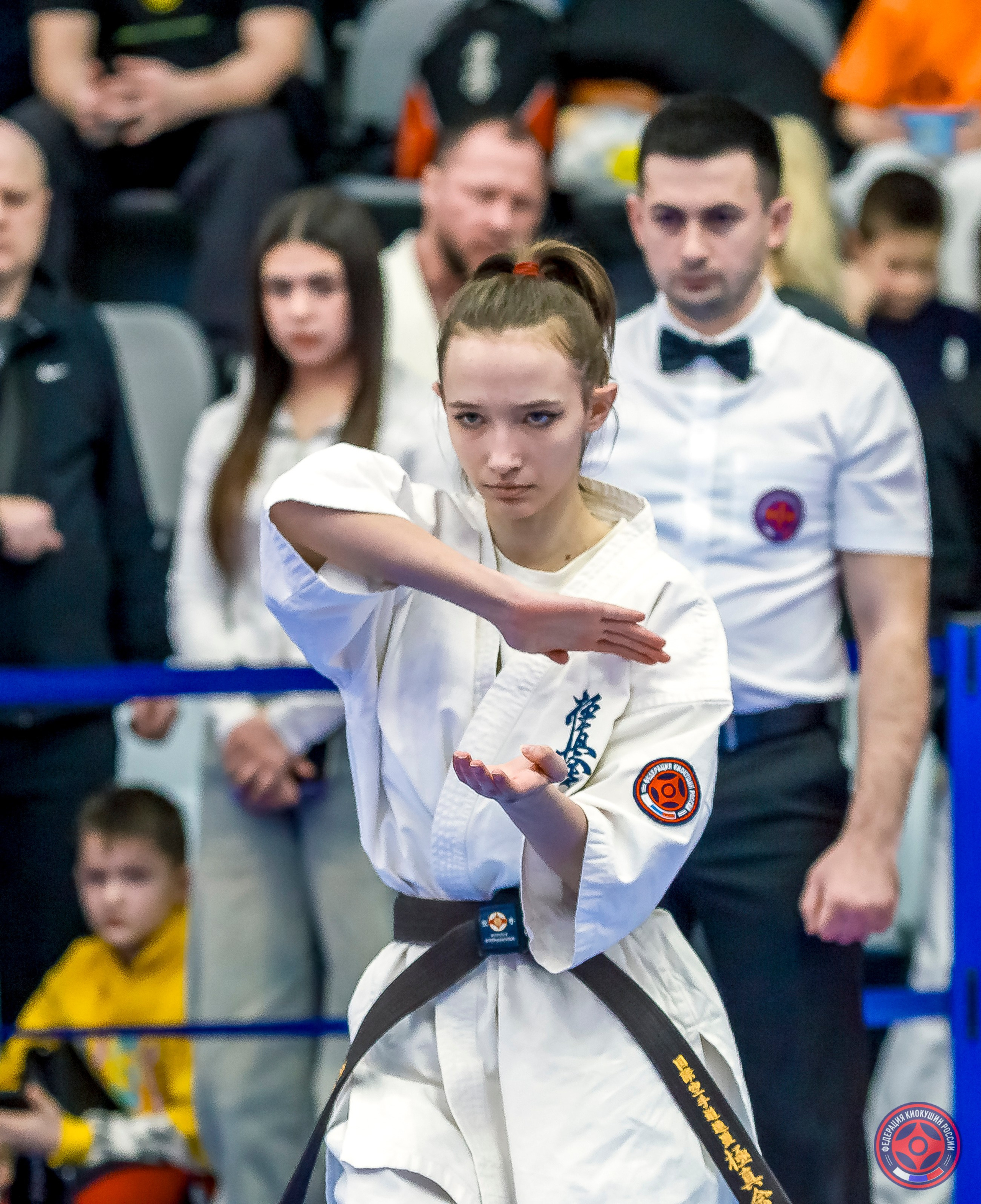 Международный турнир по киокушин «Открытый кубок Seiken». Репортажная съемка в Москве и области. Анималистика