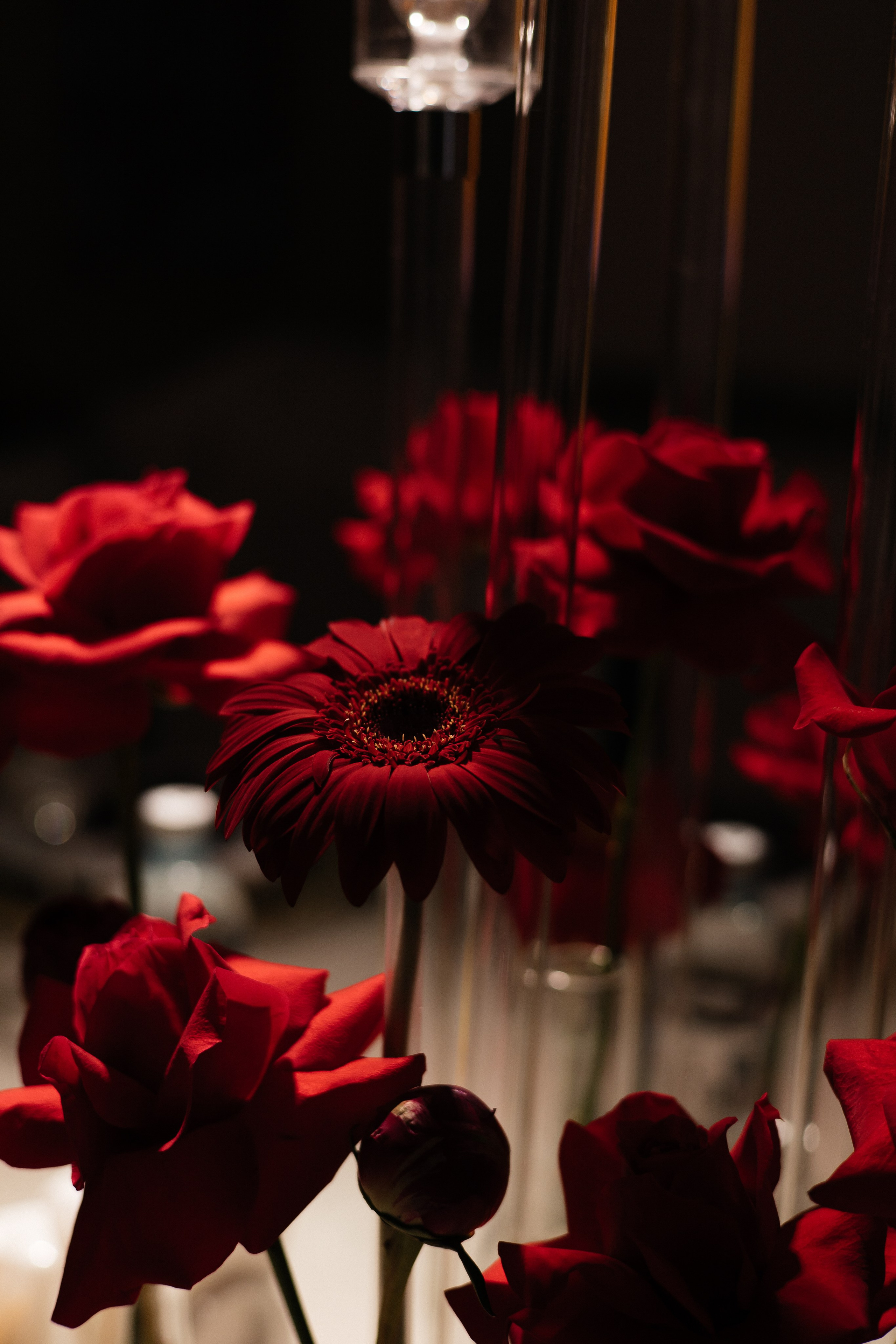 Между небом и землей. Фотограф Петрозаводск/СПБ