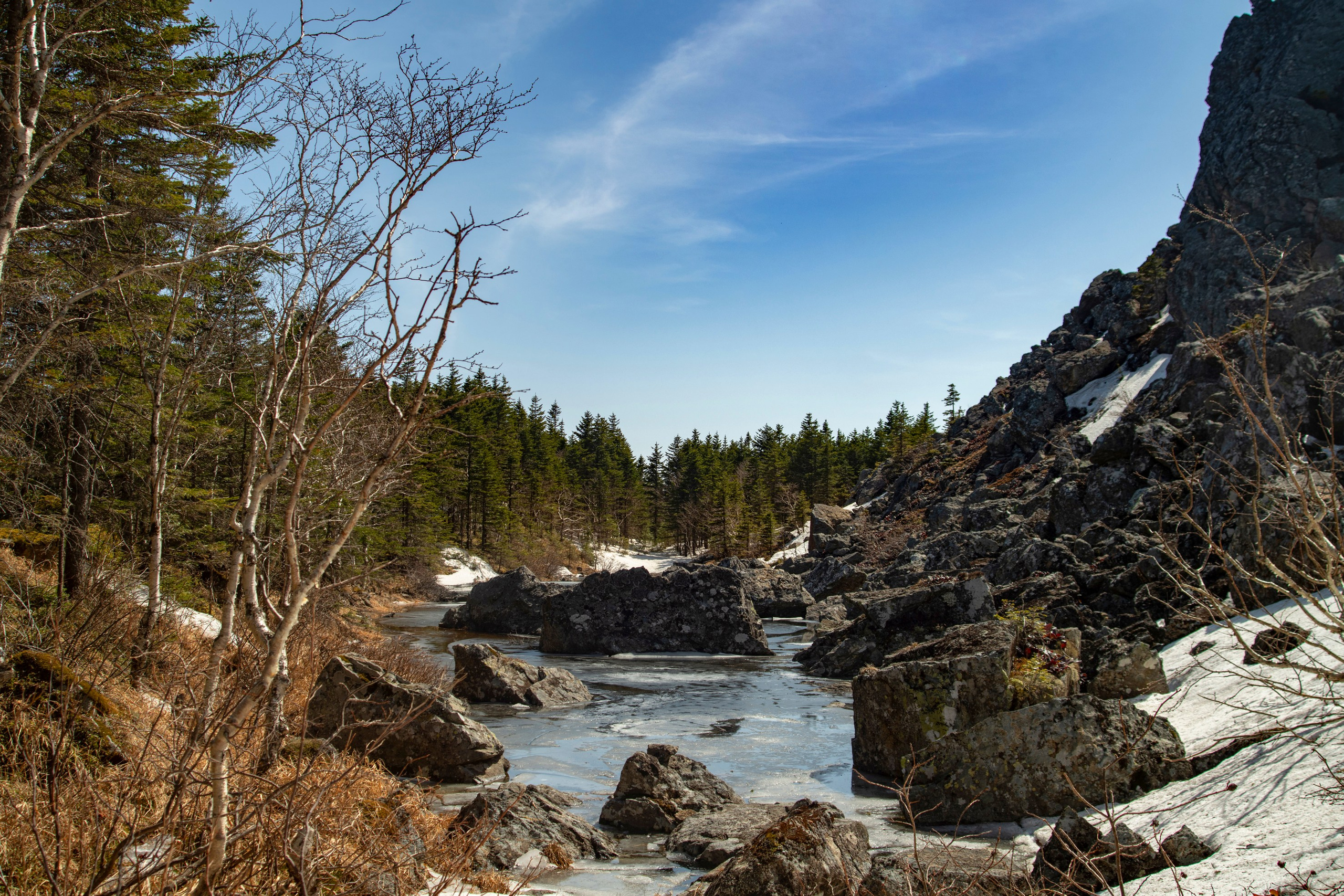 Природа Хабаровского края. Команда фотографов Кристины Ивановой