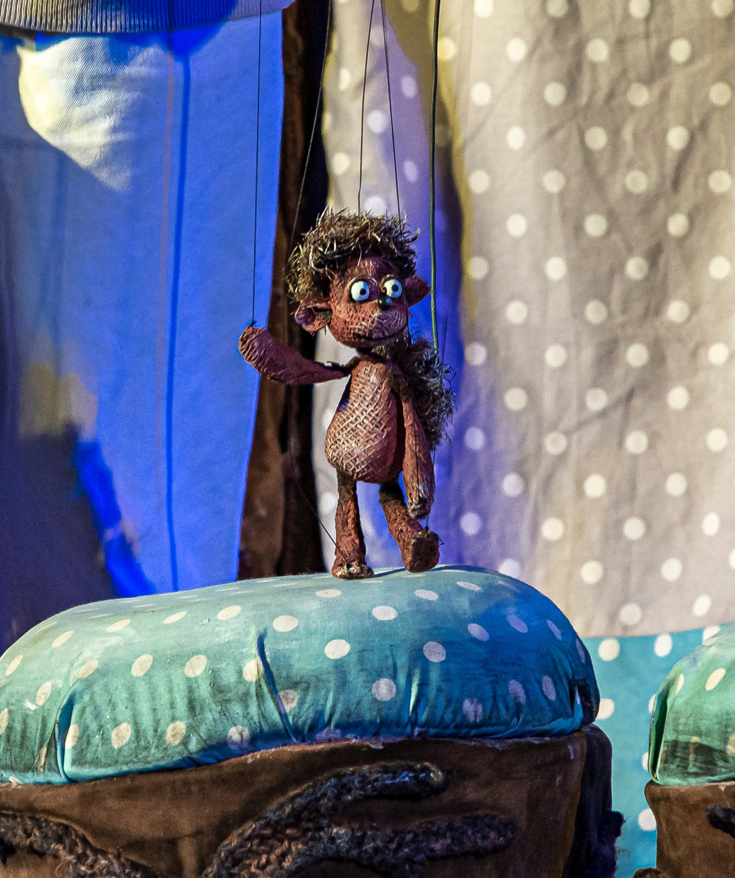 Колючая сказка. Фотограф в Сочи Юрий Шептаев