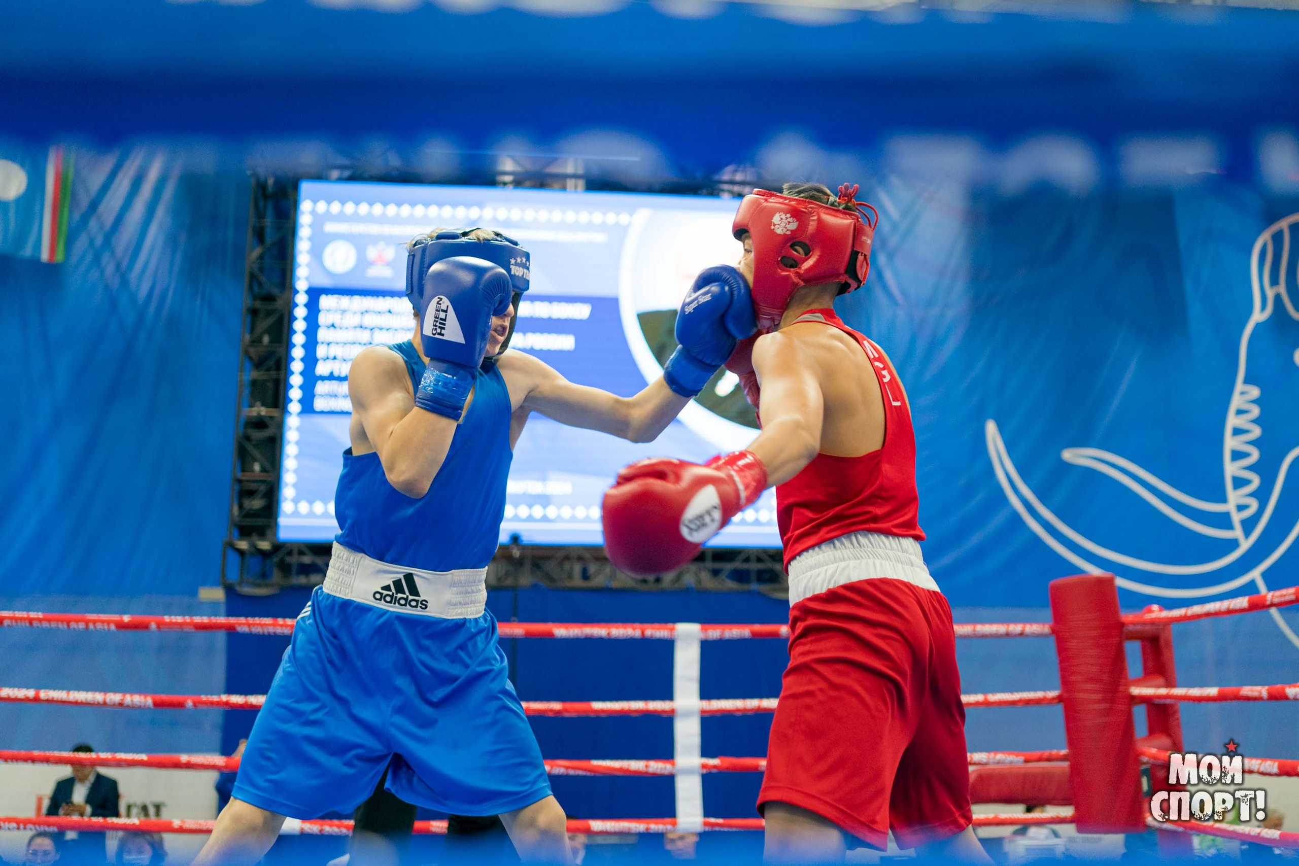 Международные соревнования по боксу памяти А. И. Пахомова. Студия «Мой Спорт!» — все о спорте в Якутии