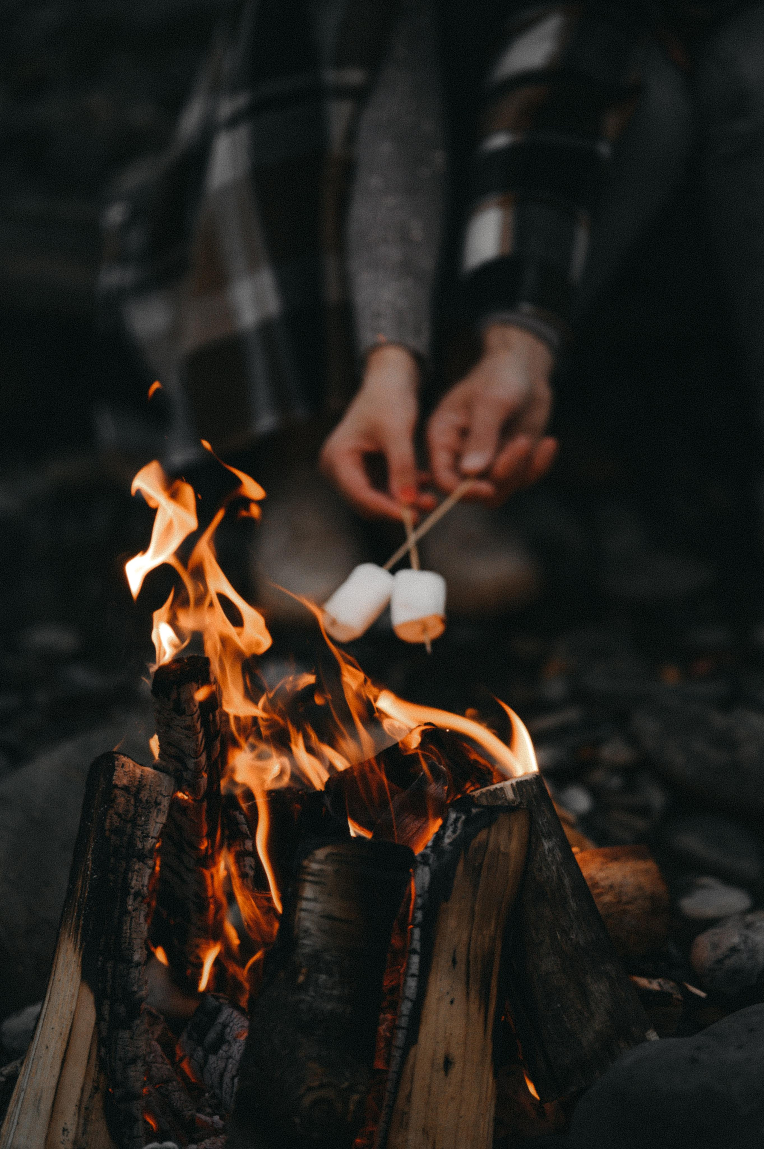 Семейный пикник. Семейный и свадебный фотограф в Самаре