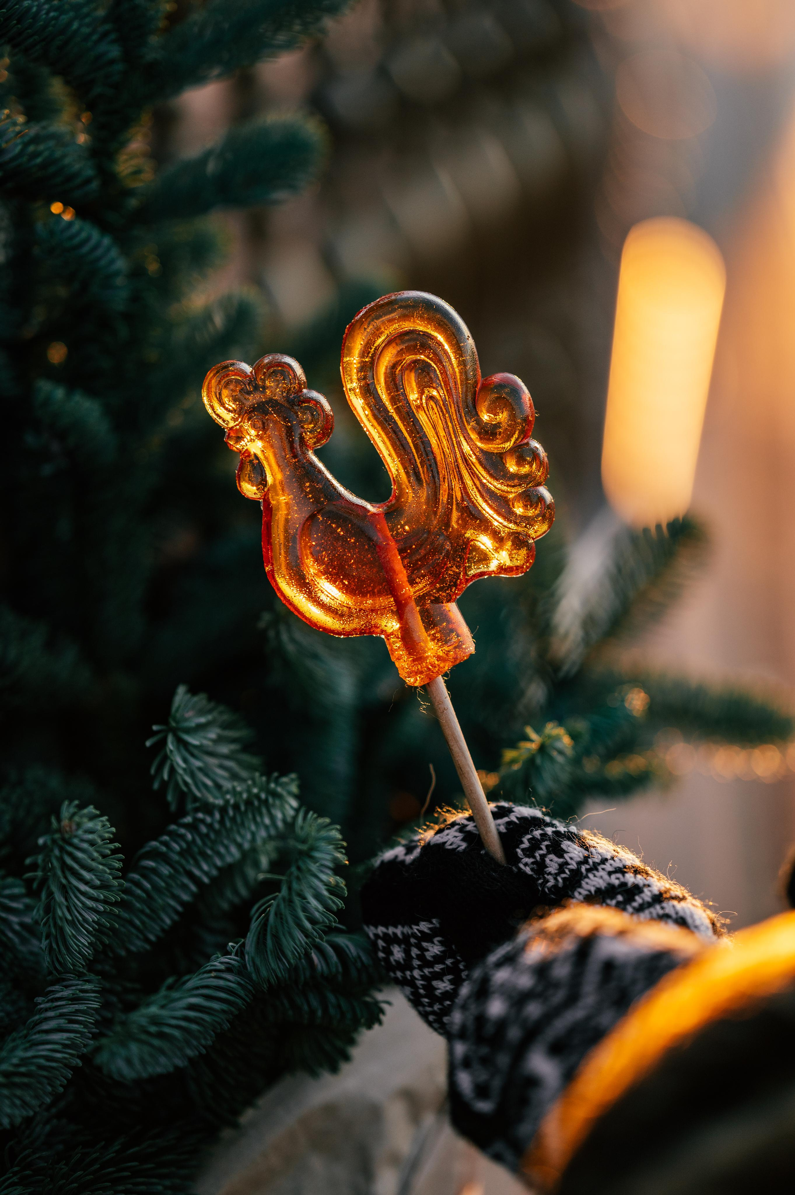 Однажды зимой в Сочи. Семейный и свадебный фотограф в Самаре