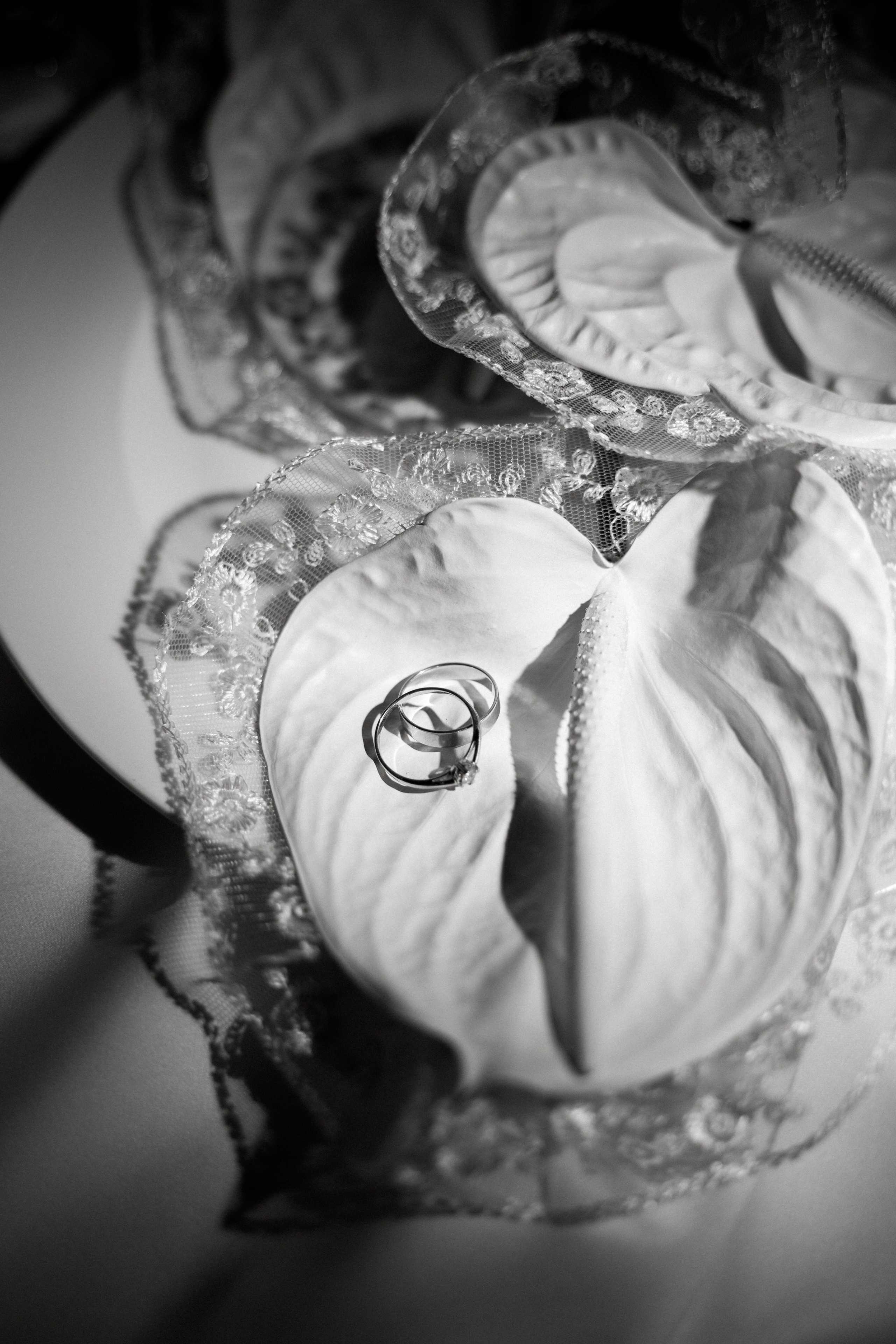 Вероника & Максим. Phdkvmr.ru