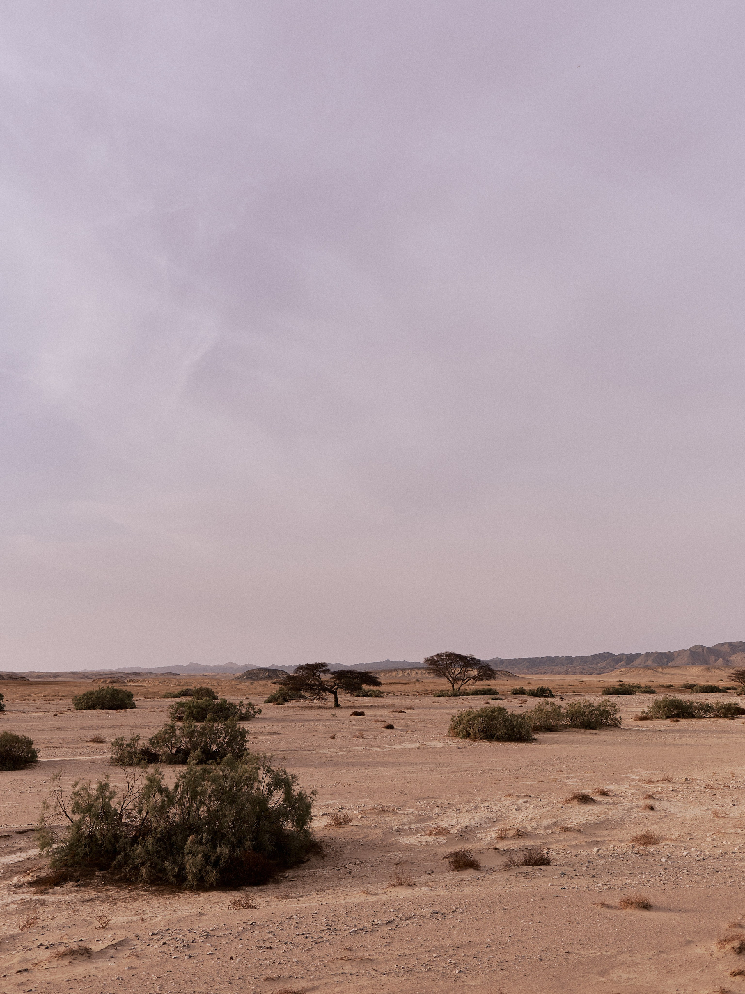 Другое 3. Jorgis Talè — photographer, kind person, teacher of arts and other mag