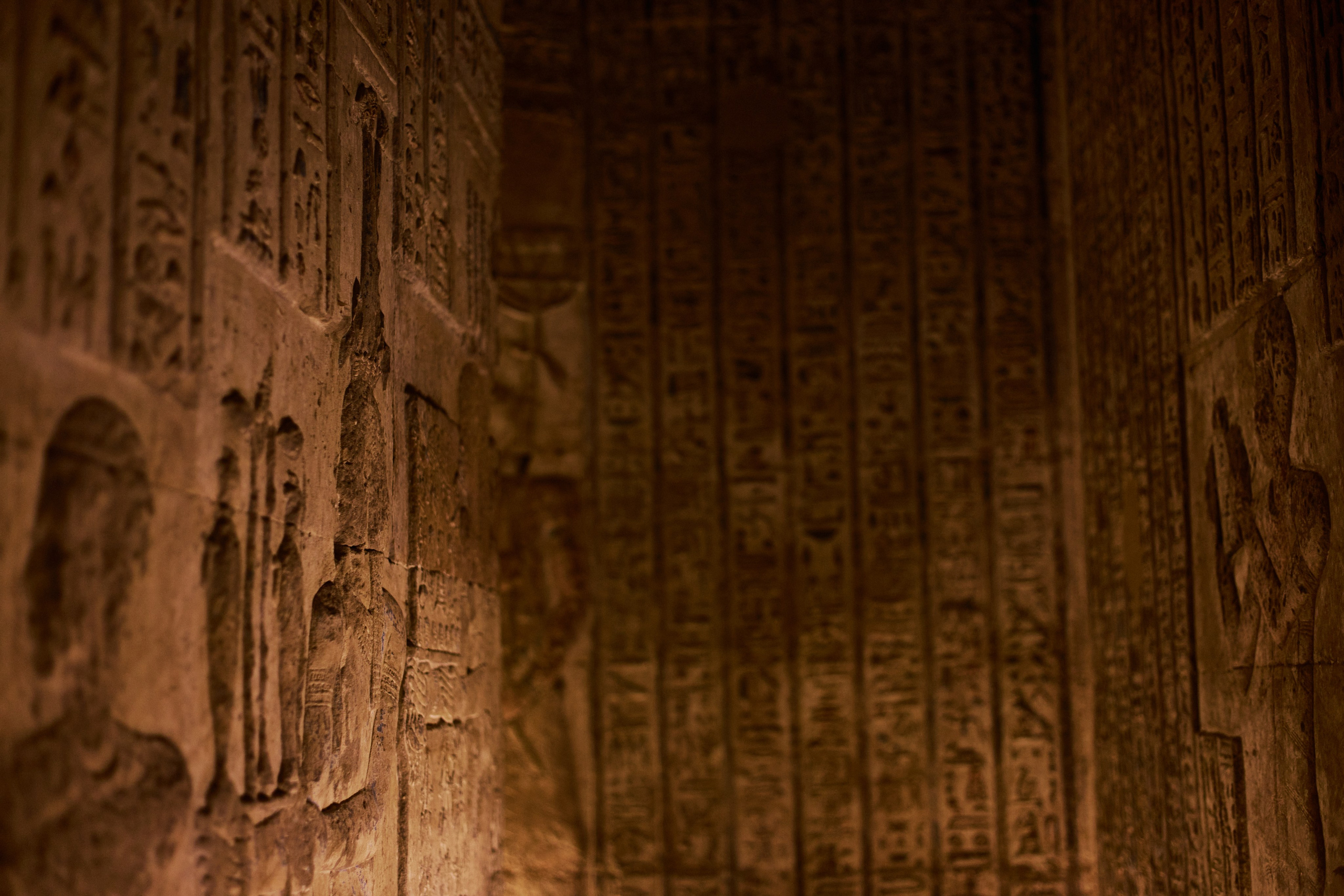 Другое 4. Jorgis — фотограф в Хургаде / обучение фотографии