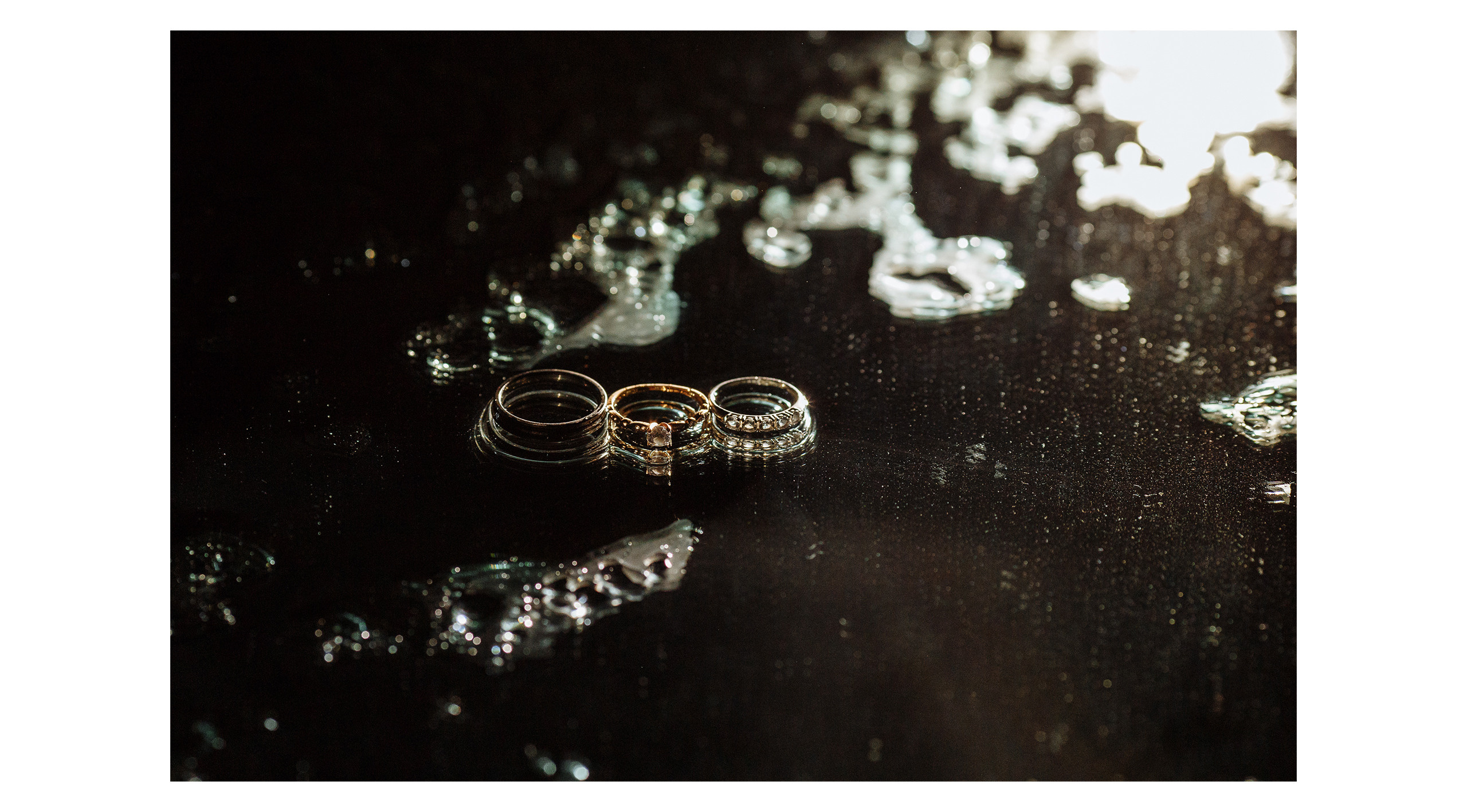 Князева Стэлла