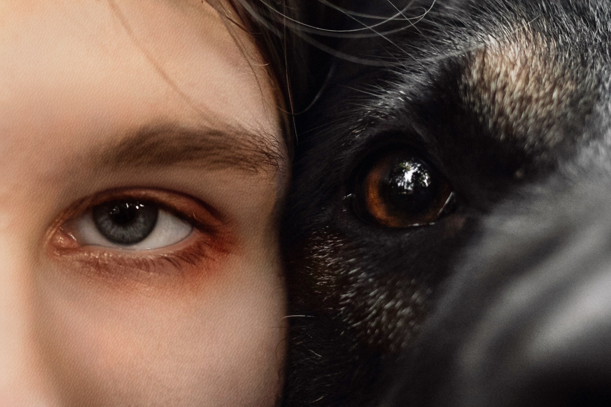 Илай. Фотограф-анималист Татьяна Степанова