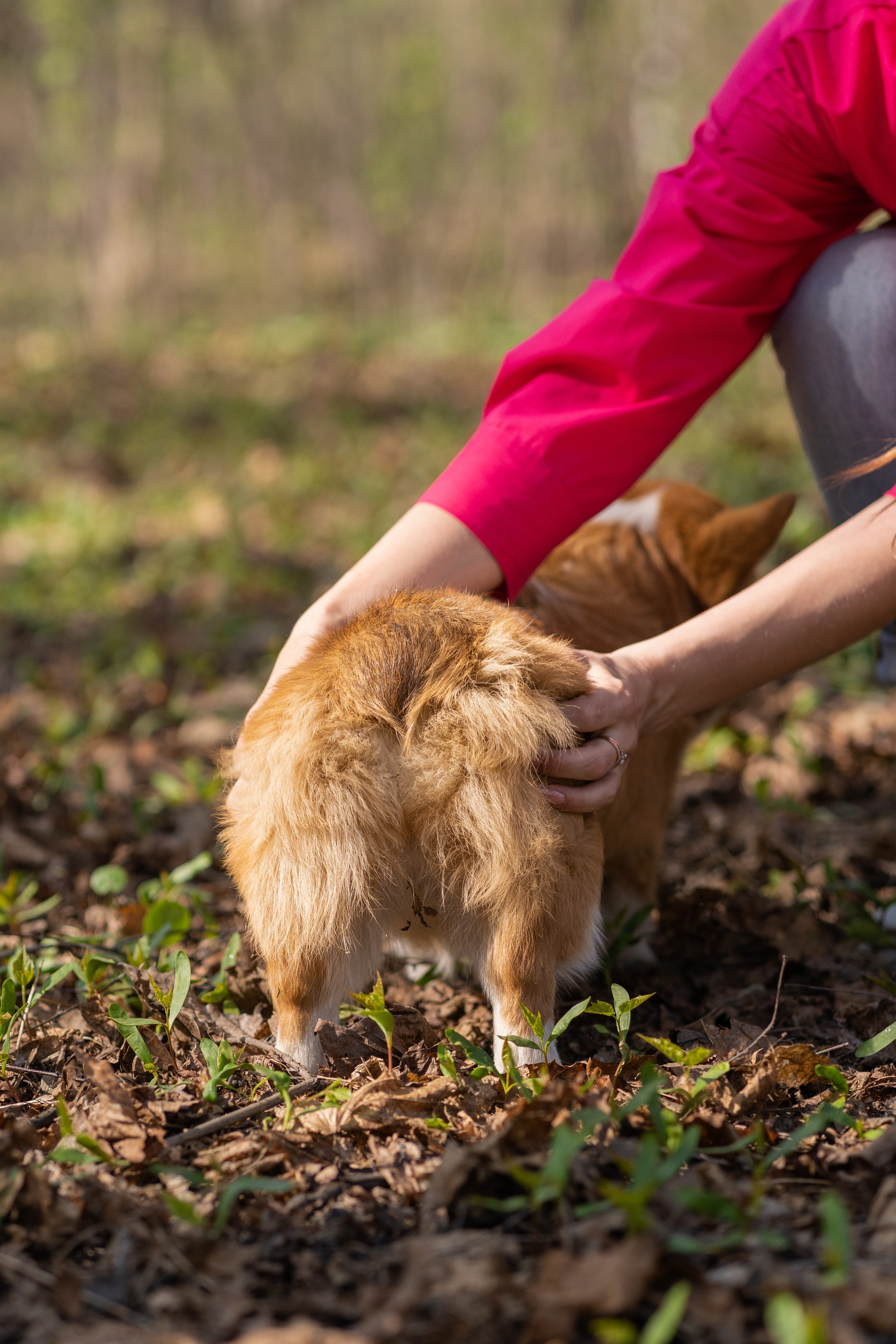 Саша, Настя, Луна. Свадебный фотограф в Москве Анна Полушина